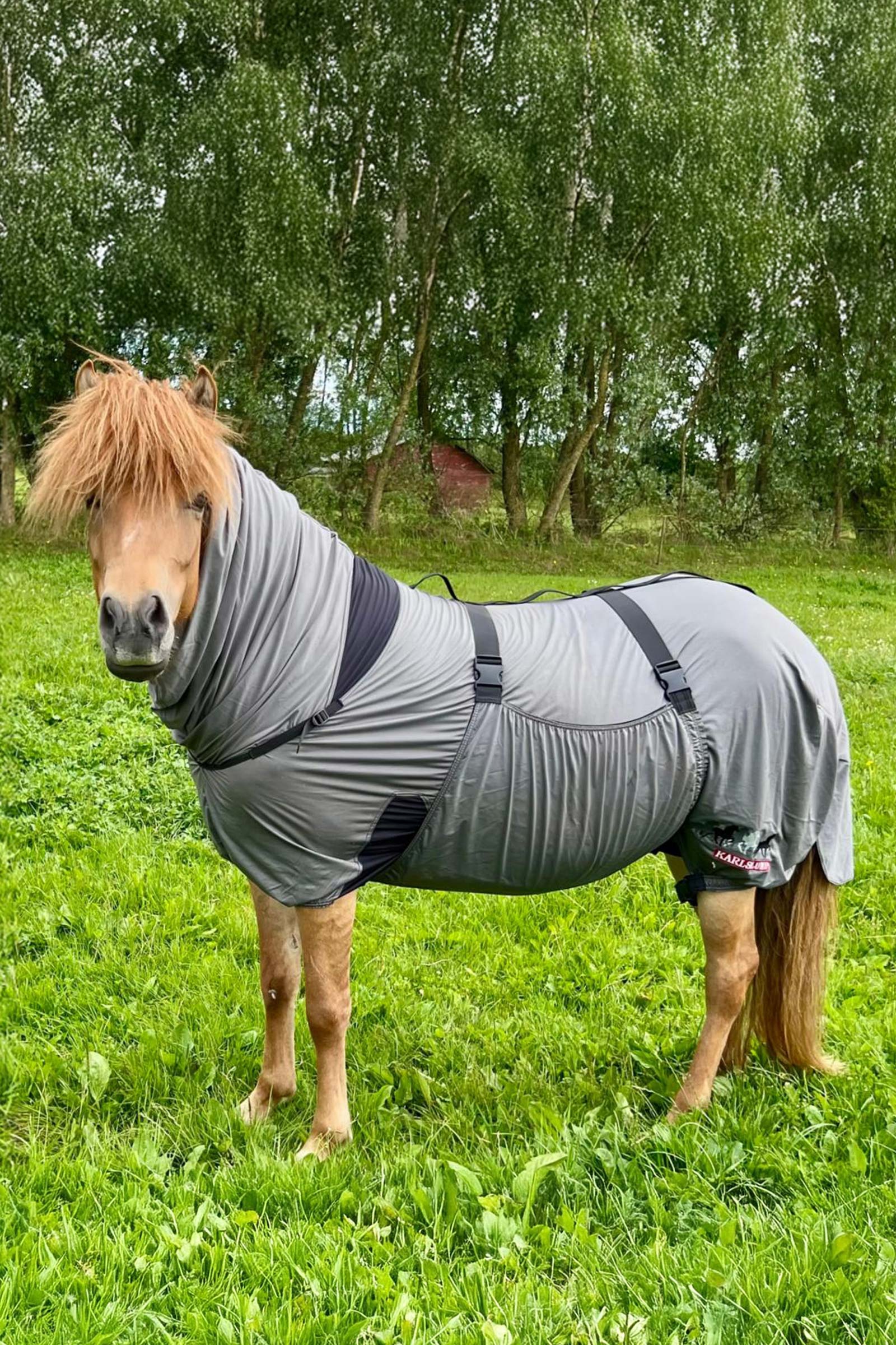 Karlslund Matti Coperta anti-eczema con collo fisso, 0g