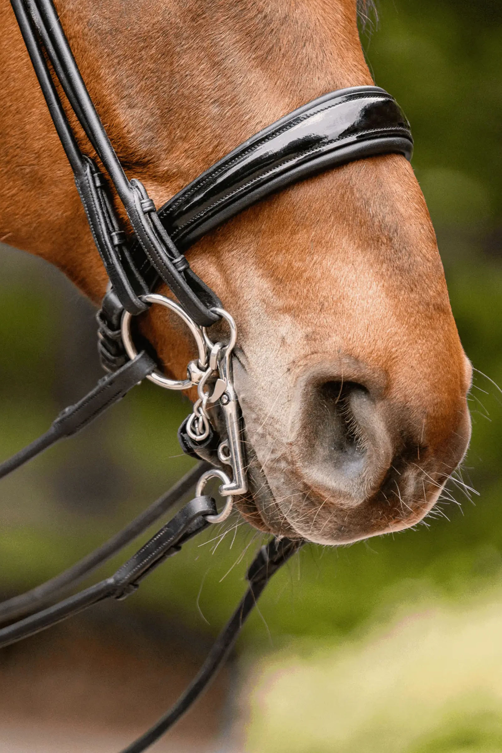 Sprenger Novocontact Weymouth 14mm Sensogan con bracci in acciaio inox da 5cm