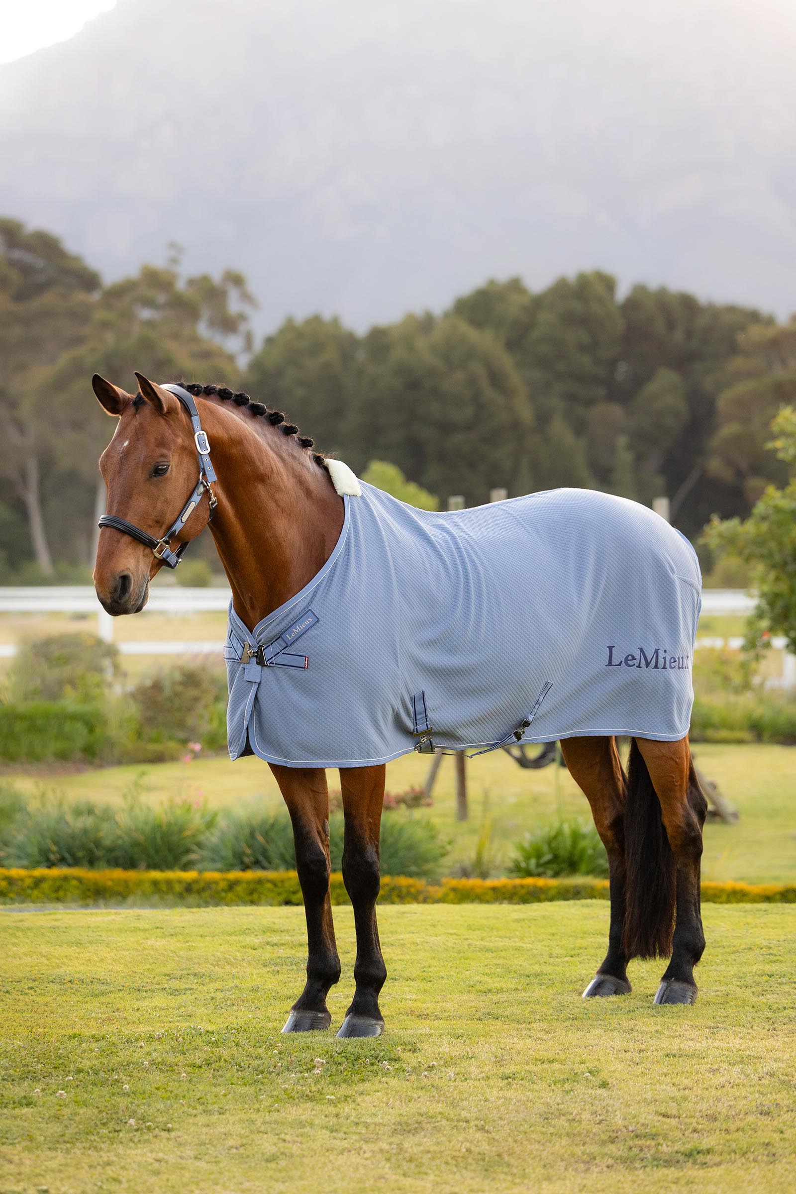 Powder Blue LeMieux Kudos coperta asciugante in bamb&ugrave;