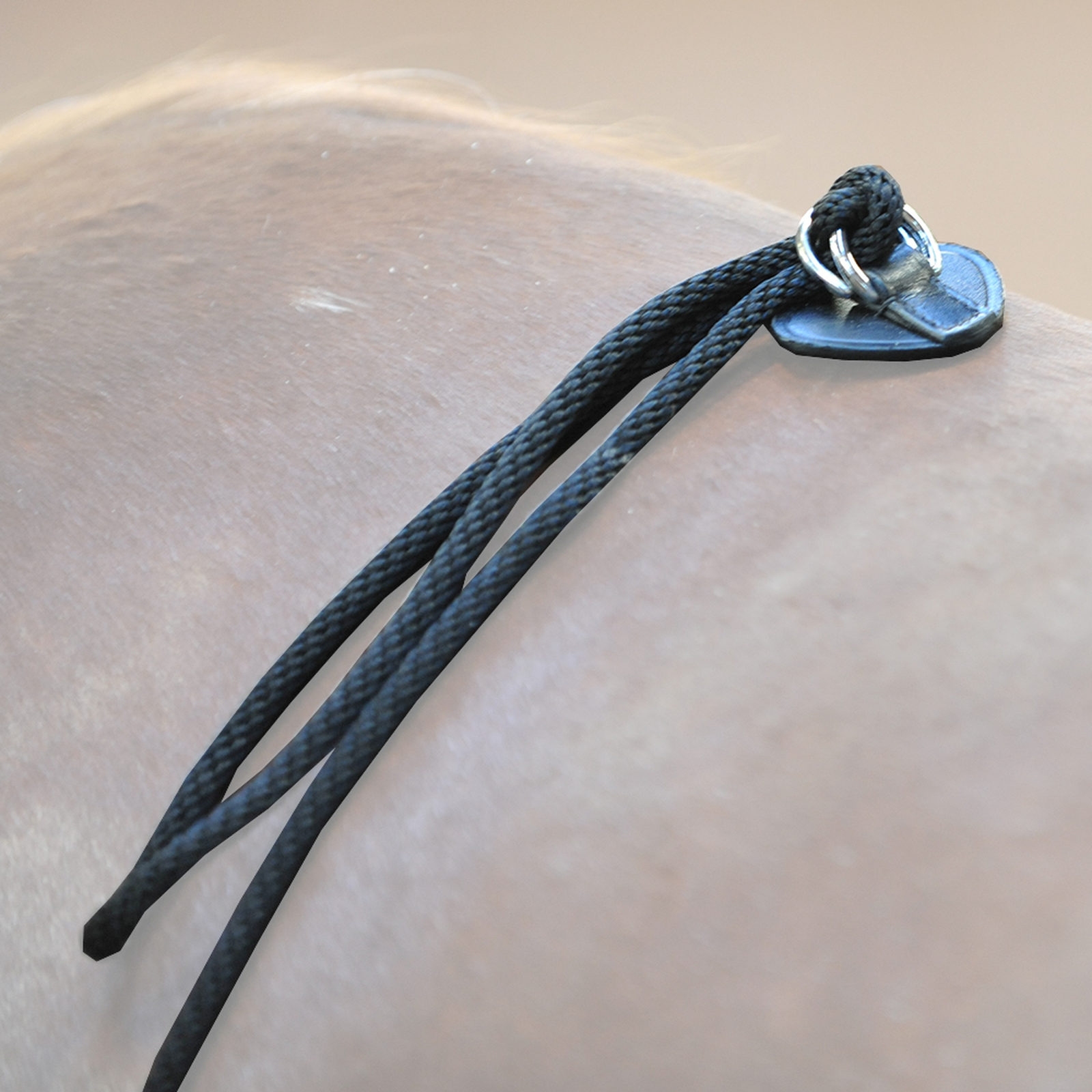 Ausilio per l'affondo Kavalkade HO