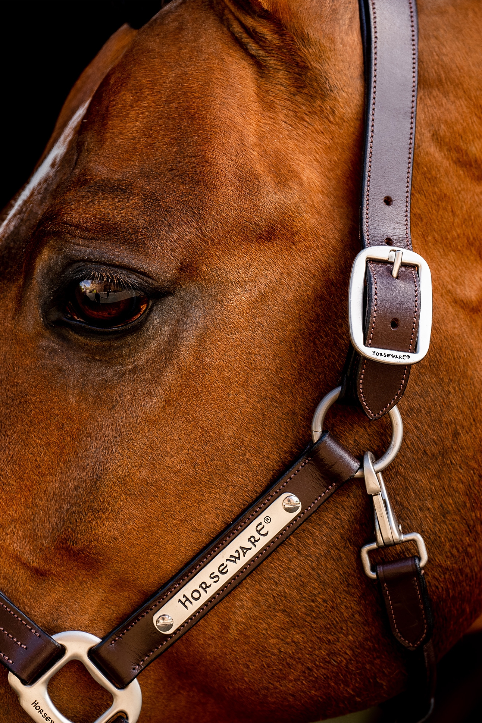 Cavezza in cuoio Horseware Signature