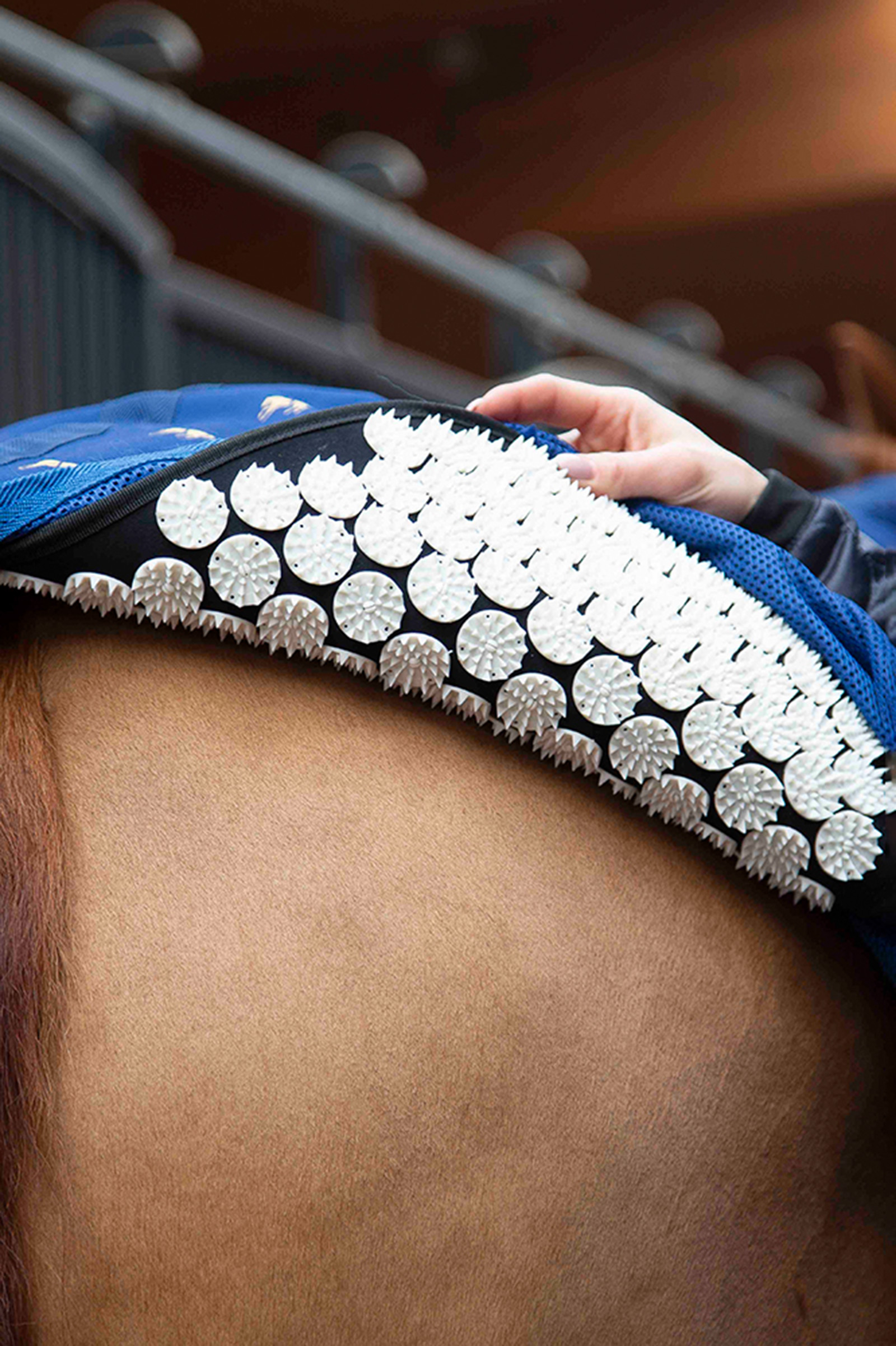 Accuhorsemat Set coperta raffreddante