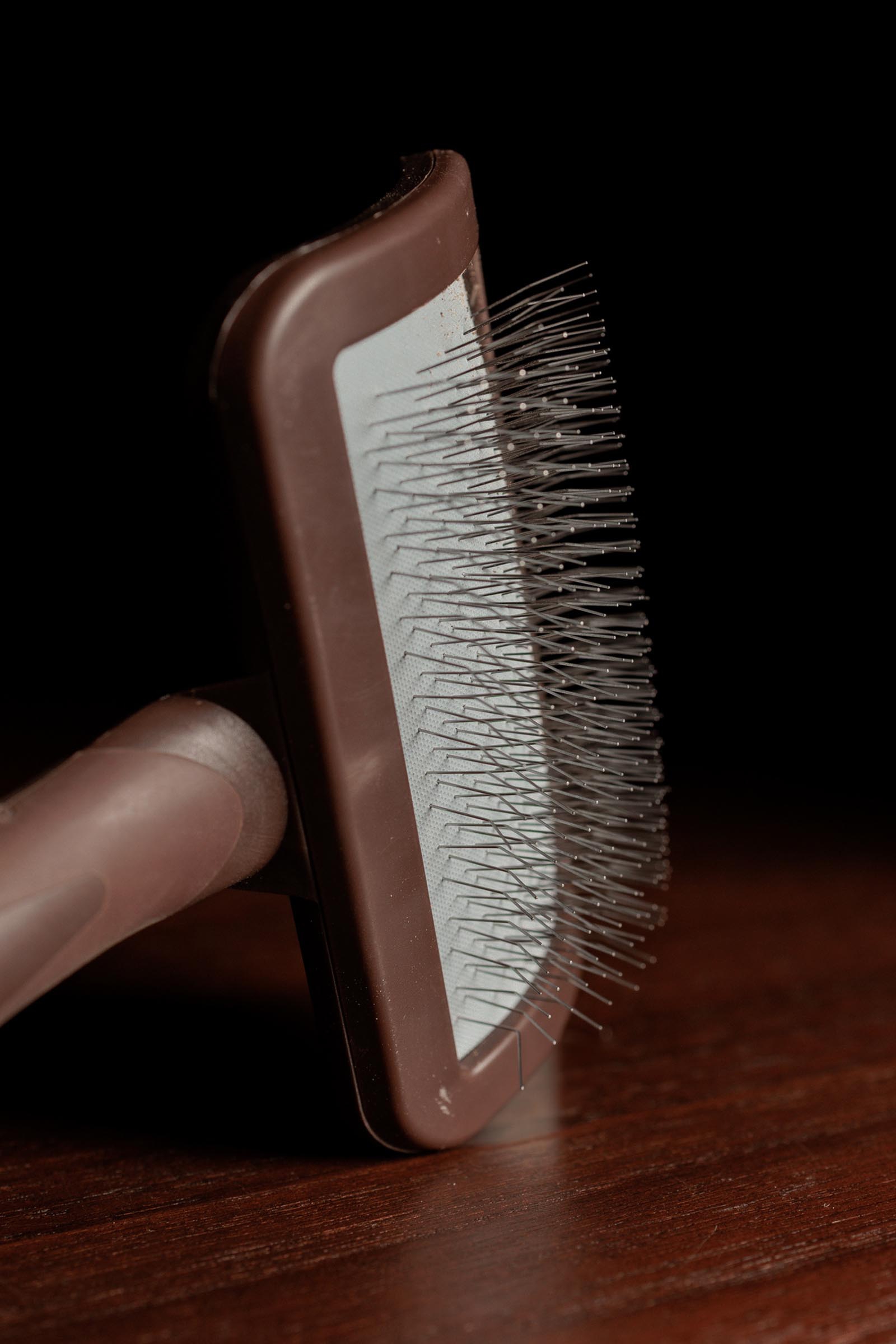 Grooming Deluxe spazzola per pulizia chiusure a strappo  