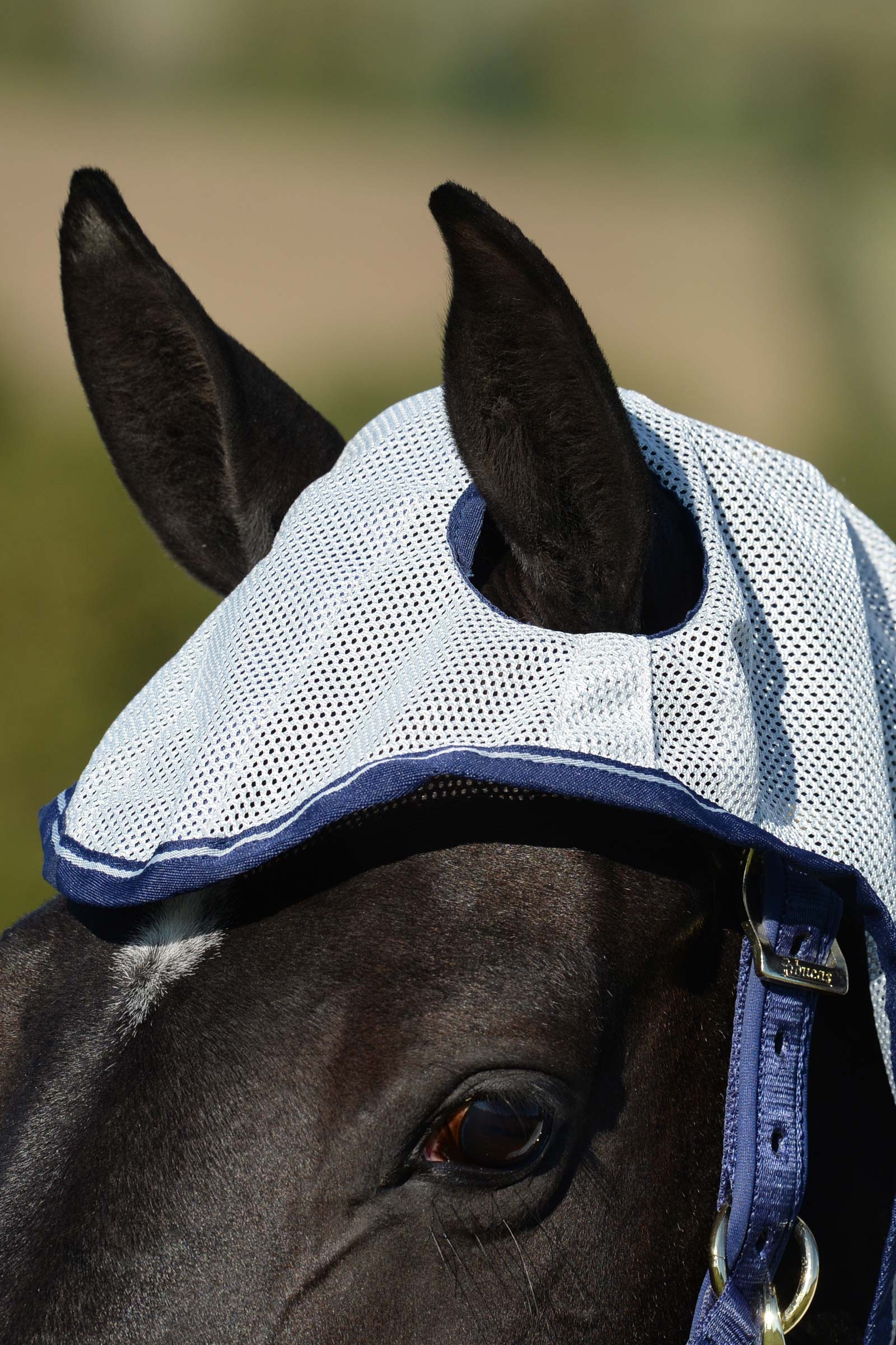 Bucas Buzz-Off X-light Full Neck coperta antimosche con colletto fisso