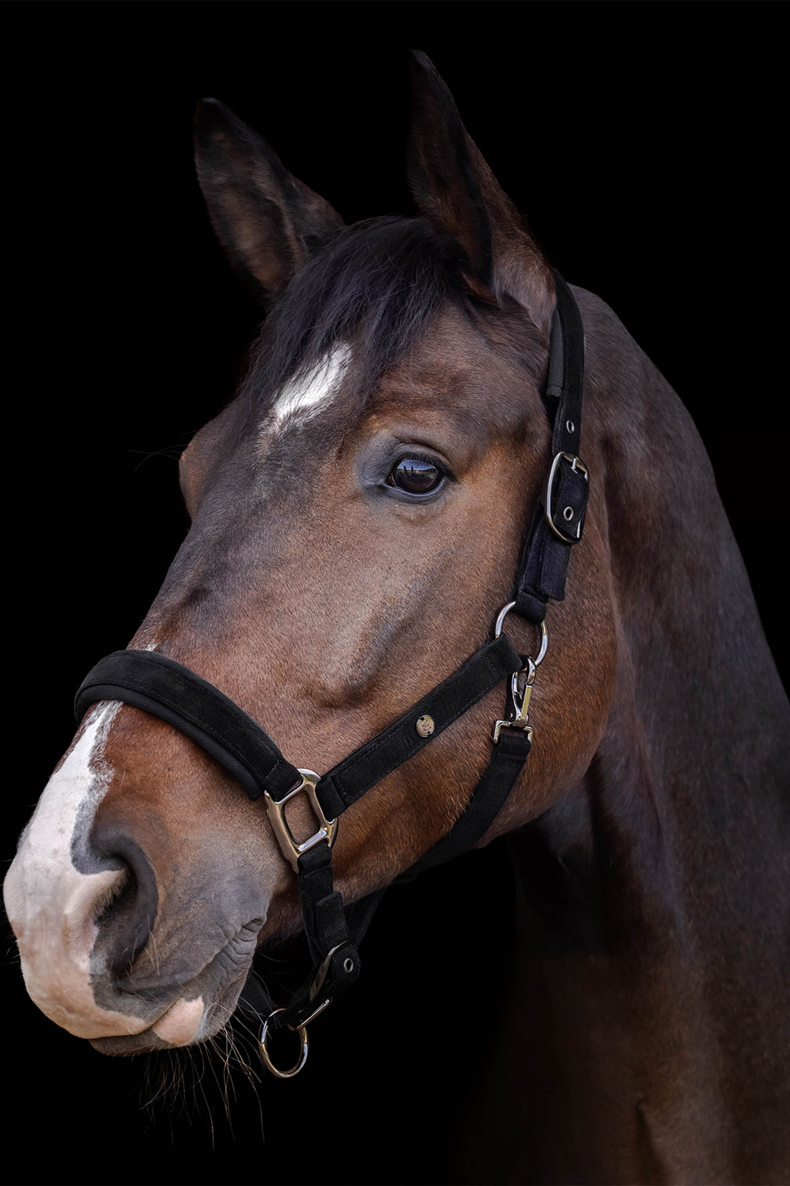 Waldhausen St. Gallen Halter 