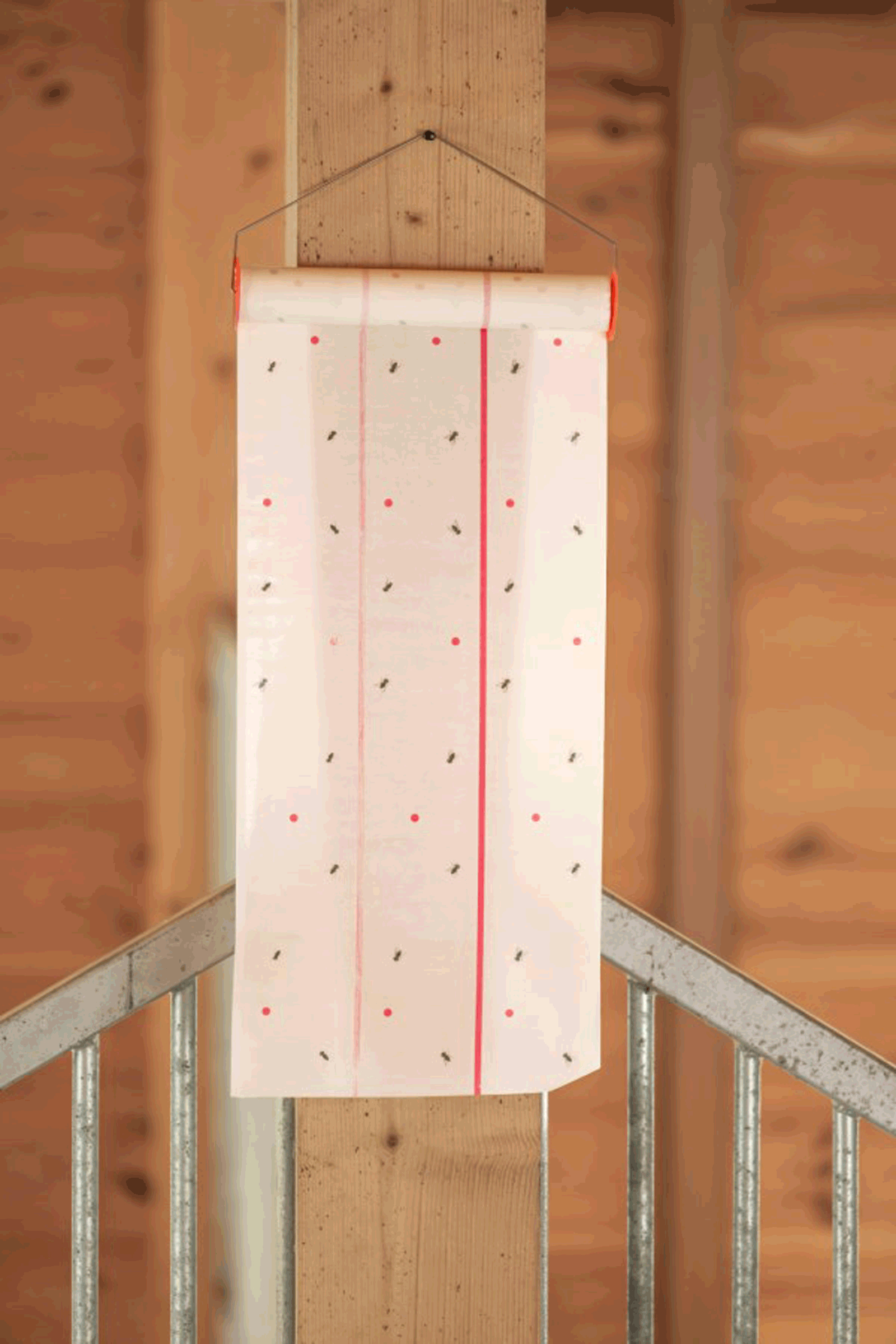 Trappola per mosche Kerbl Cit MuscaRoll, 10 m