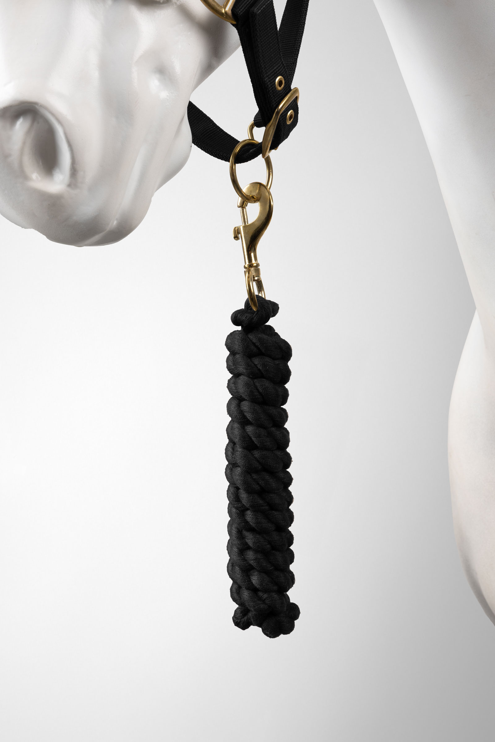 Horze cavezza e longhina set