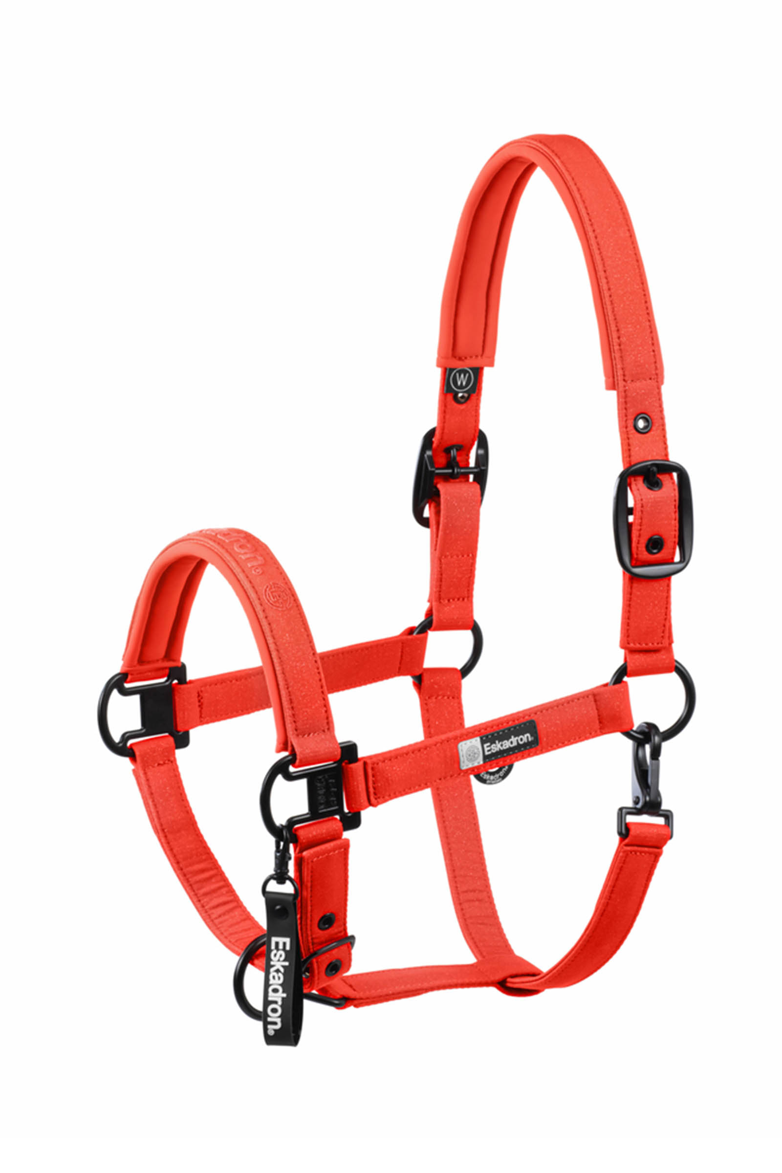 Red Eskadron Dynamics AW25 cavezza scintillante con fibbia doppia