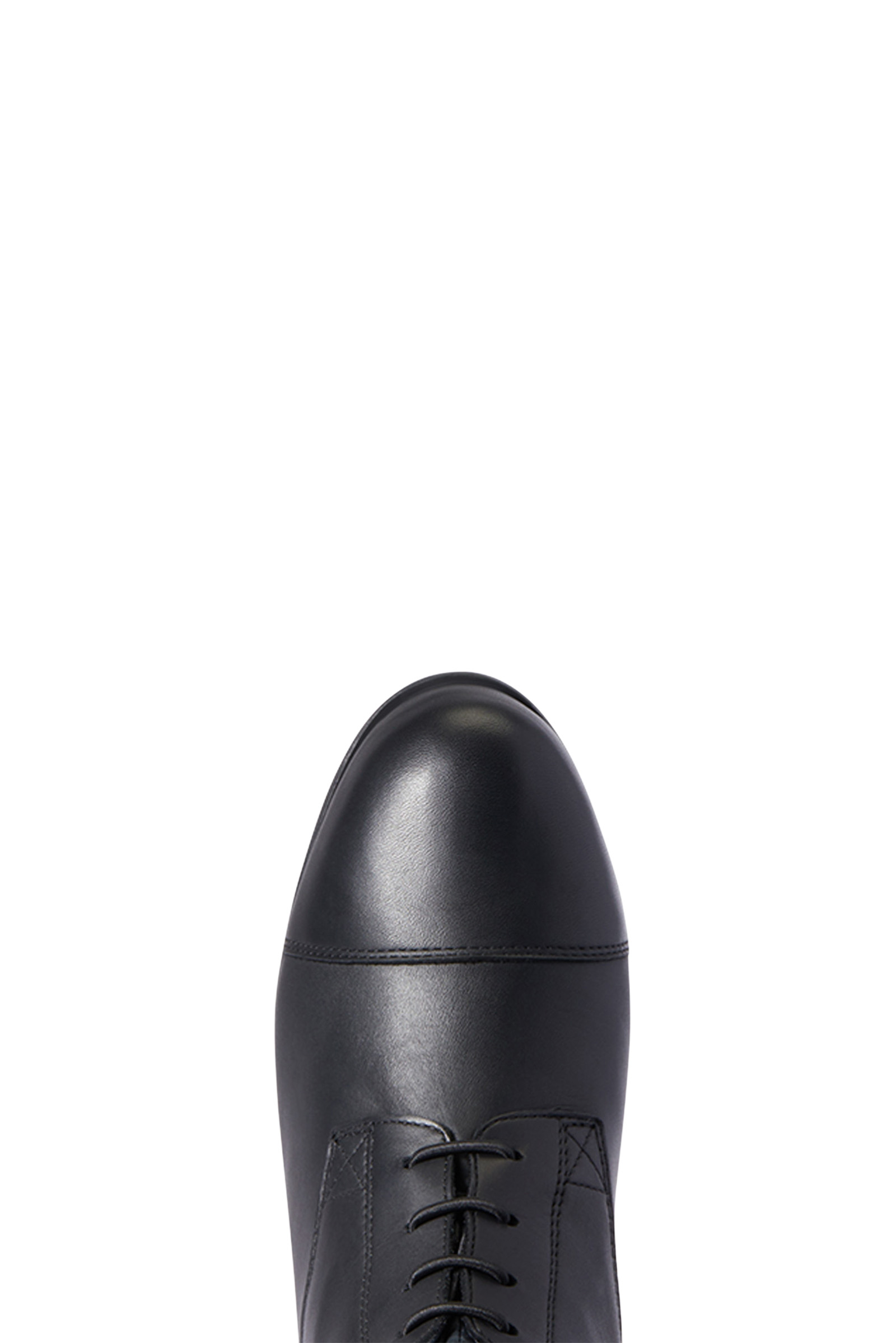 Ariat Heritage Contour II H2O stivali da equitazione isolati da donna