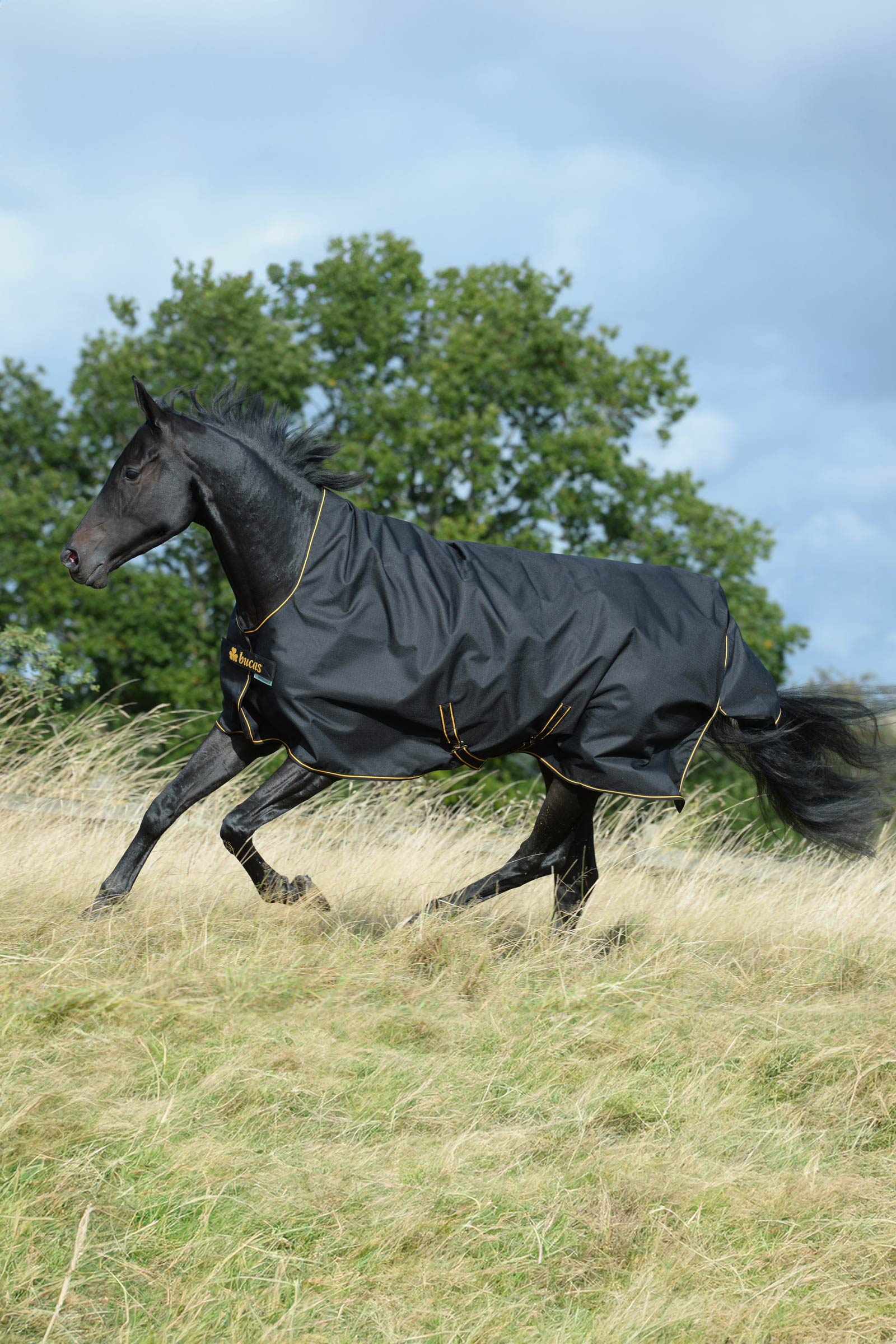 Bucas Irish coperta da esterno con collo alto, 50g