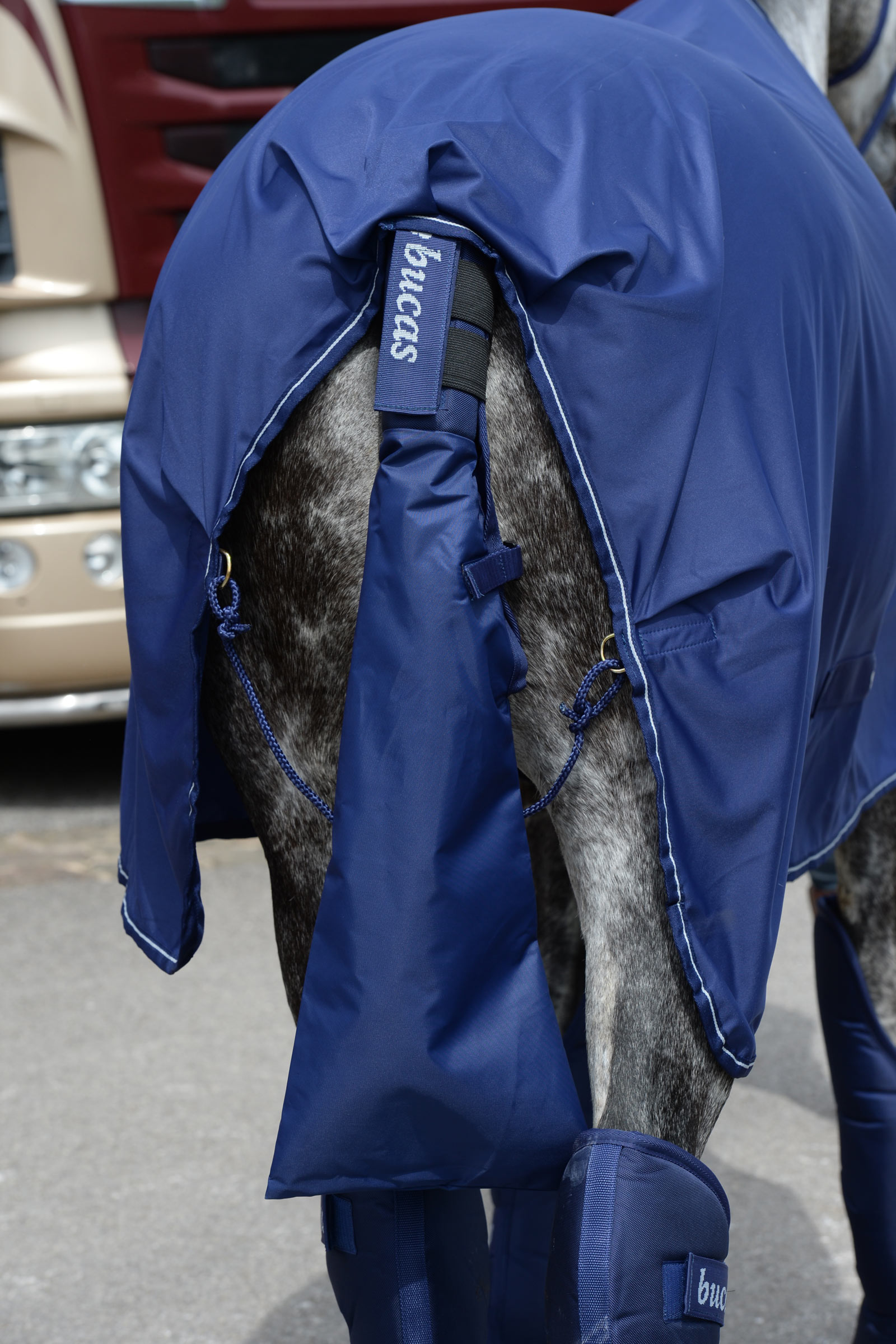 Bucas Protezione per Coda & Borsa per Coda