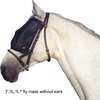 F.R.A. Freedom Riding Articles Cavallo Maschera antimosche 