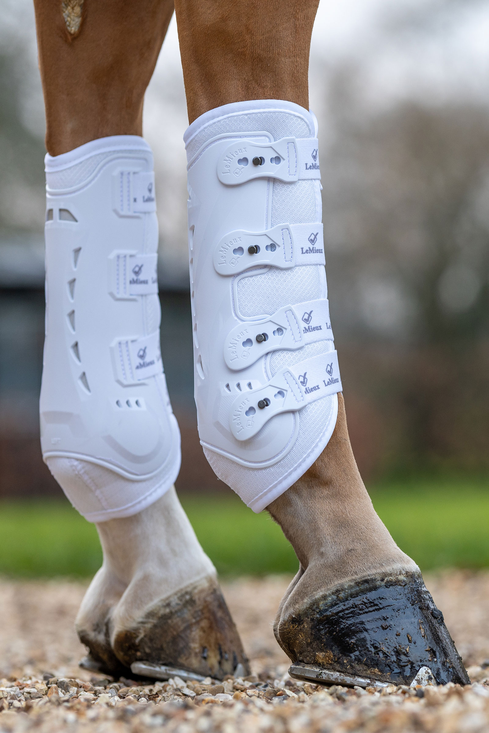 LeMieux Ultra Mesh Snug stinchiere posteriori