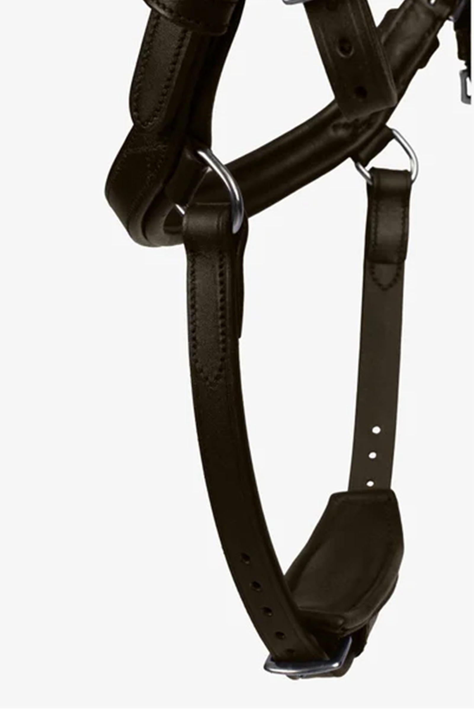 PS of Sweden Briglia King Edward