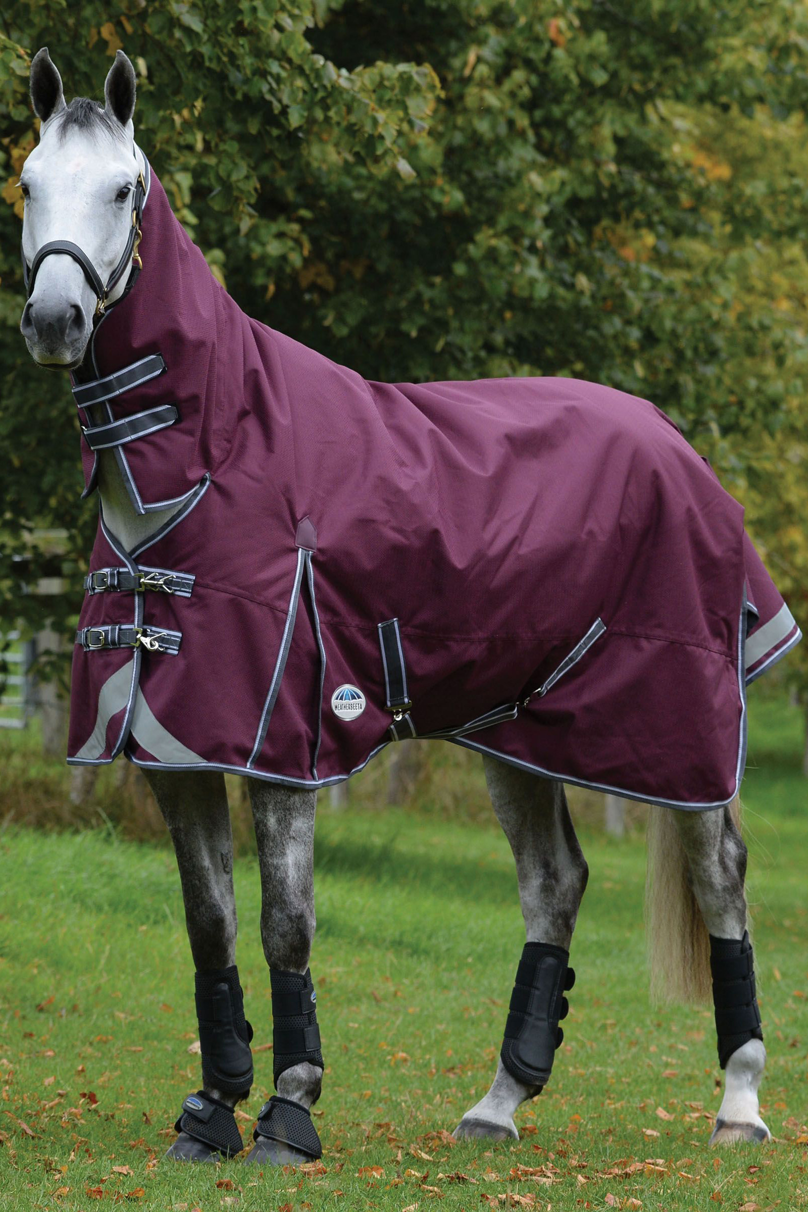 Weatherbeeta Comfitec Plus Dynamic II Combo Coperta da turnout con collo, 220 gr