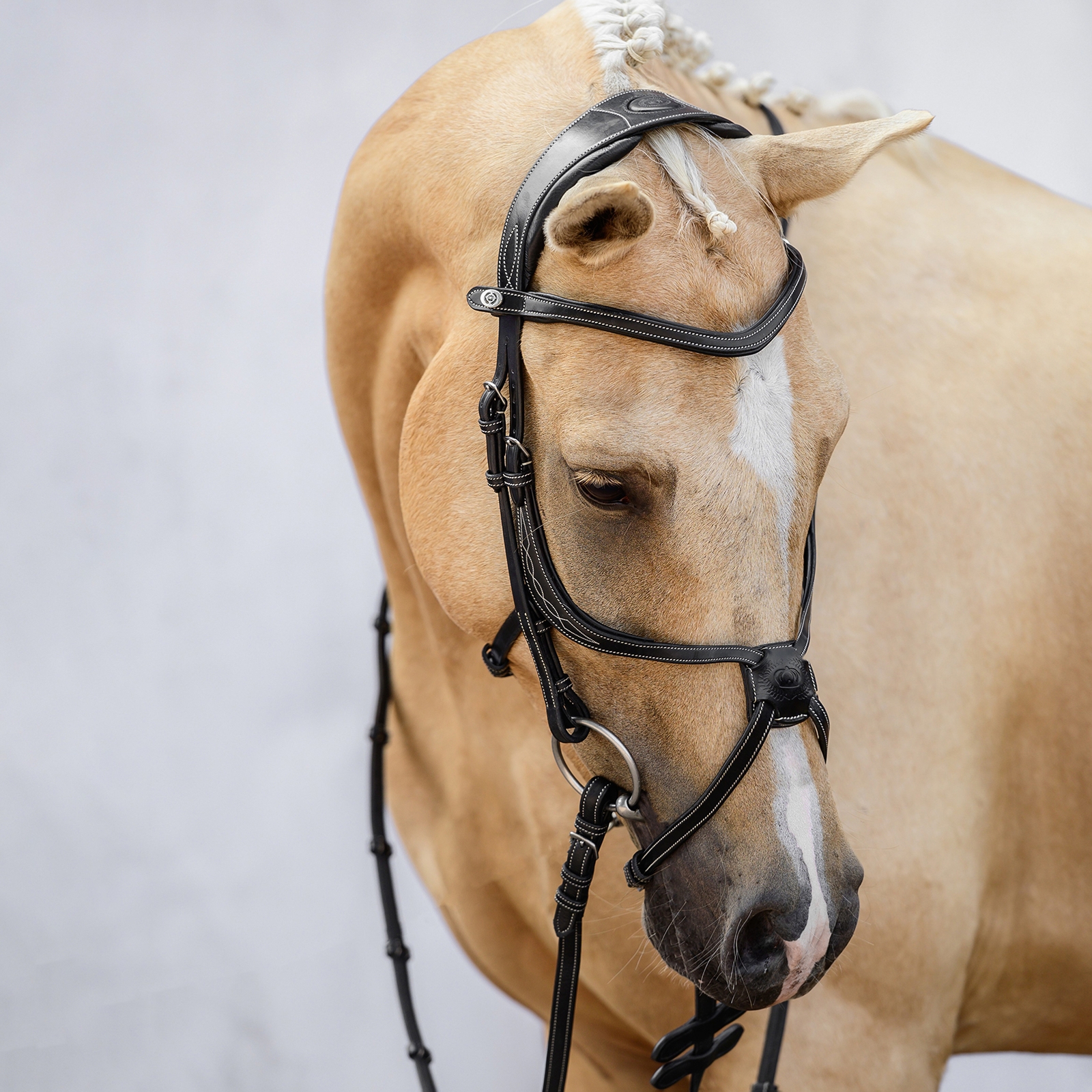 PS della Svezia Briglia messicana di Atene