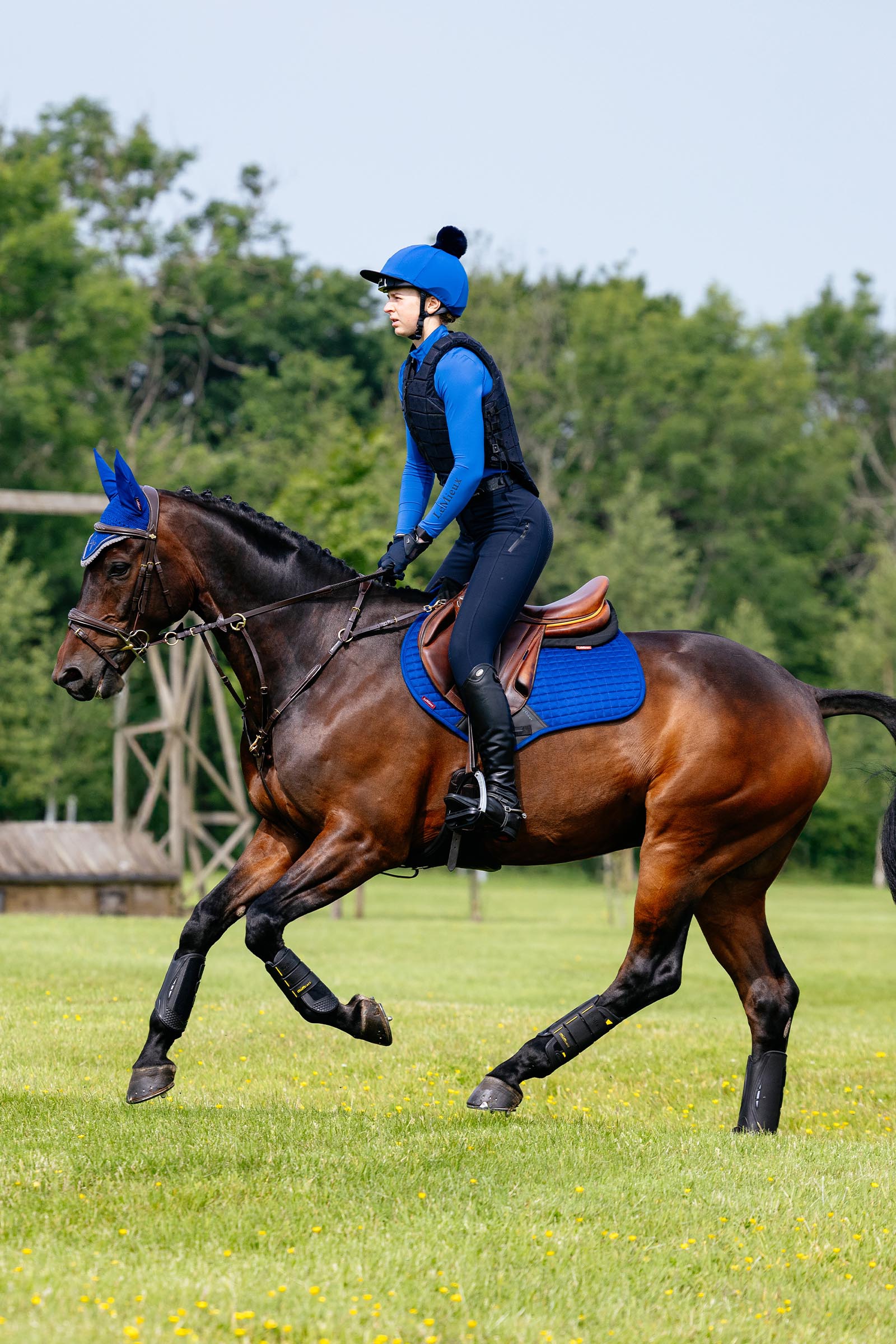 LeMieux Suede Close Contact sottosella salto ostacoli