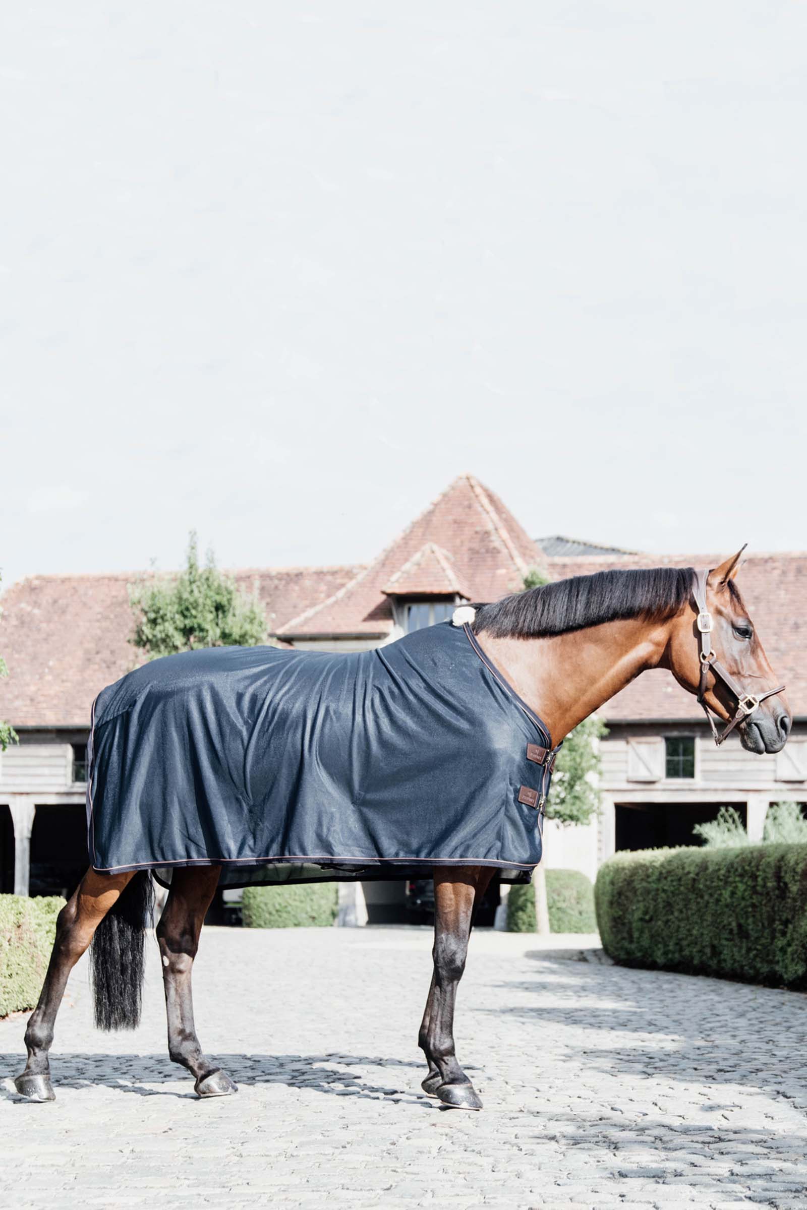 Kentucky Horsewear coperta antimosche in rete