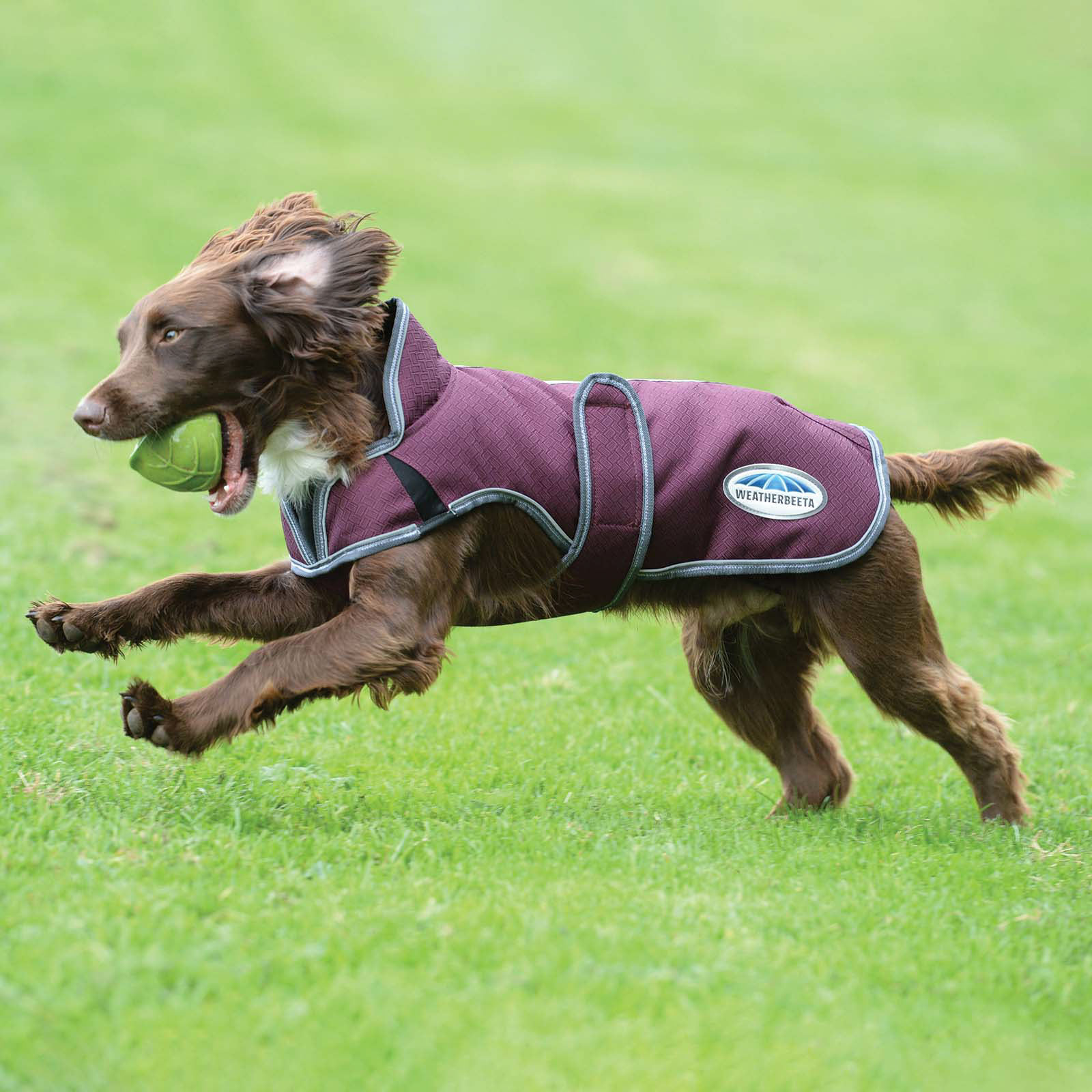 Weatherbeeta Comfitec Premier Free Cappotto per cani Parka Deluxe, 220 gr