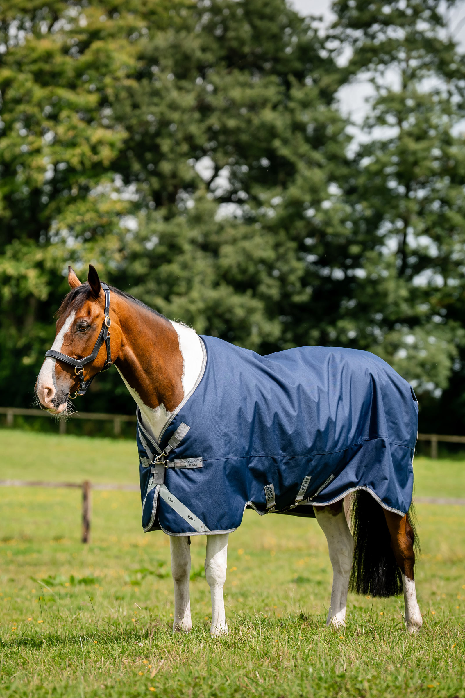 Horseware Amigo 1200D coperta da esterno, 250 g