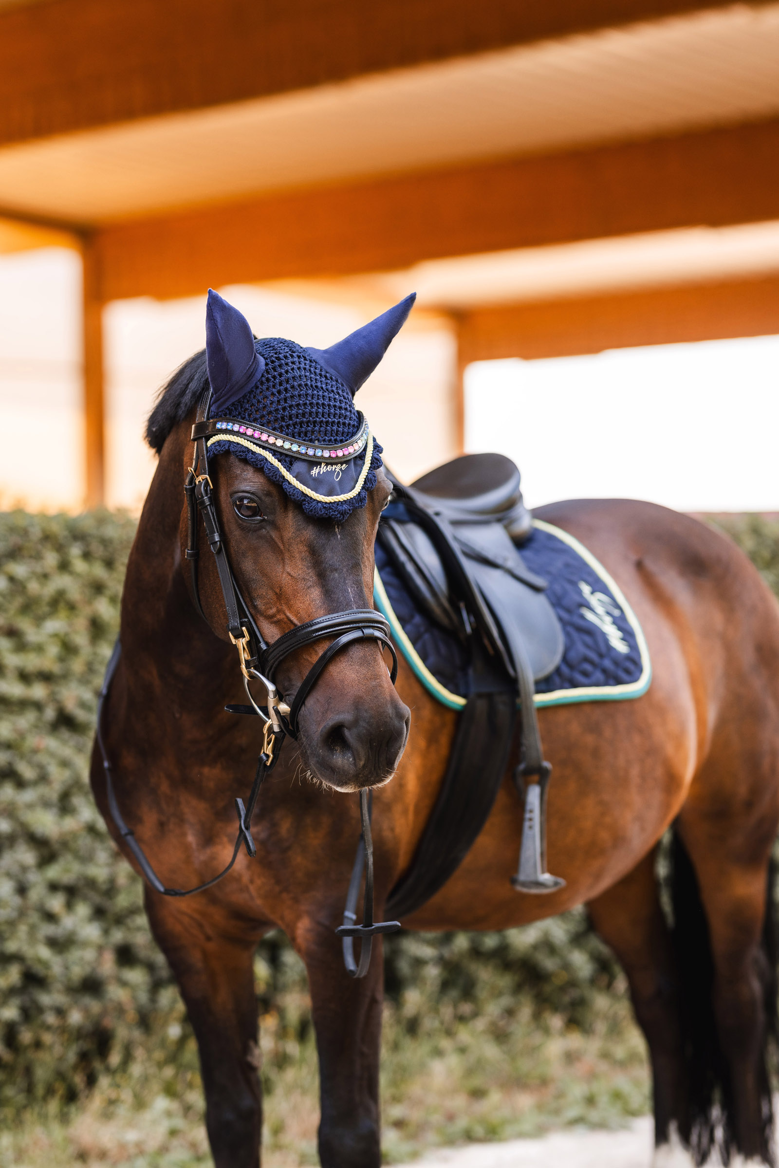 Horze Magic Carousel Parte 2 Cuffiette per cavalli