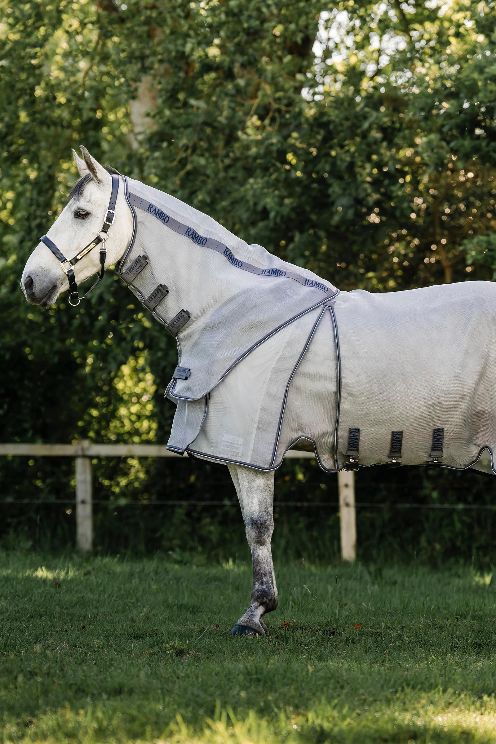 Horseware Rambo Optimo Protector Plus coperta