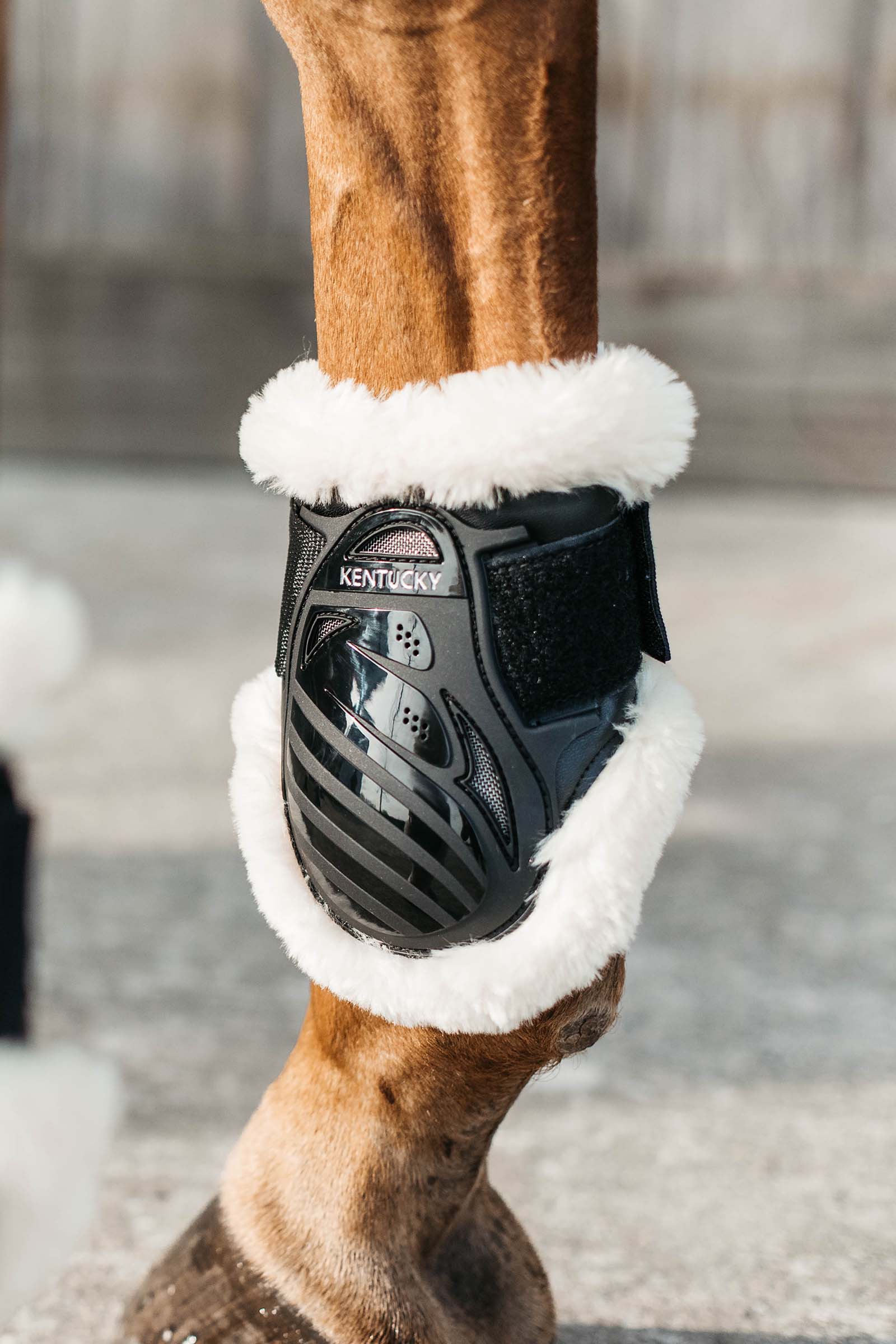 Kentucky Horsewear Stivali paranocche in pelle vegana per cavalli giovani