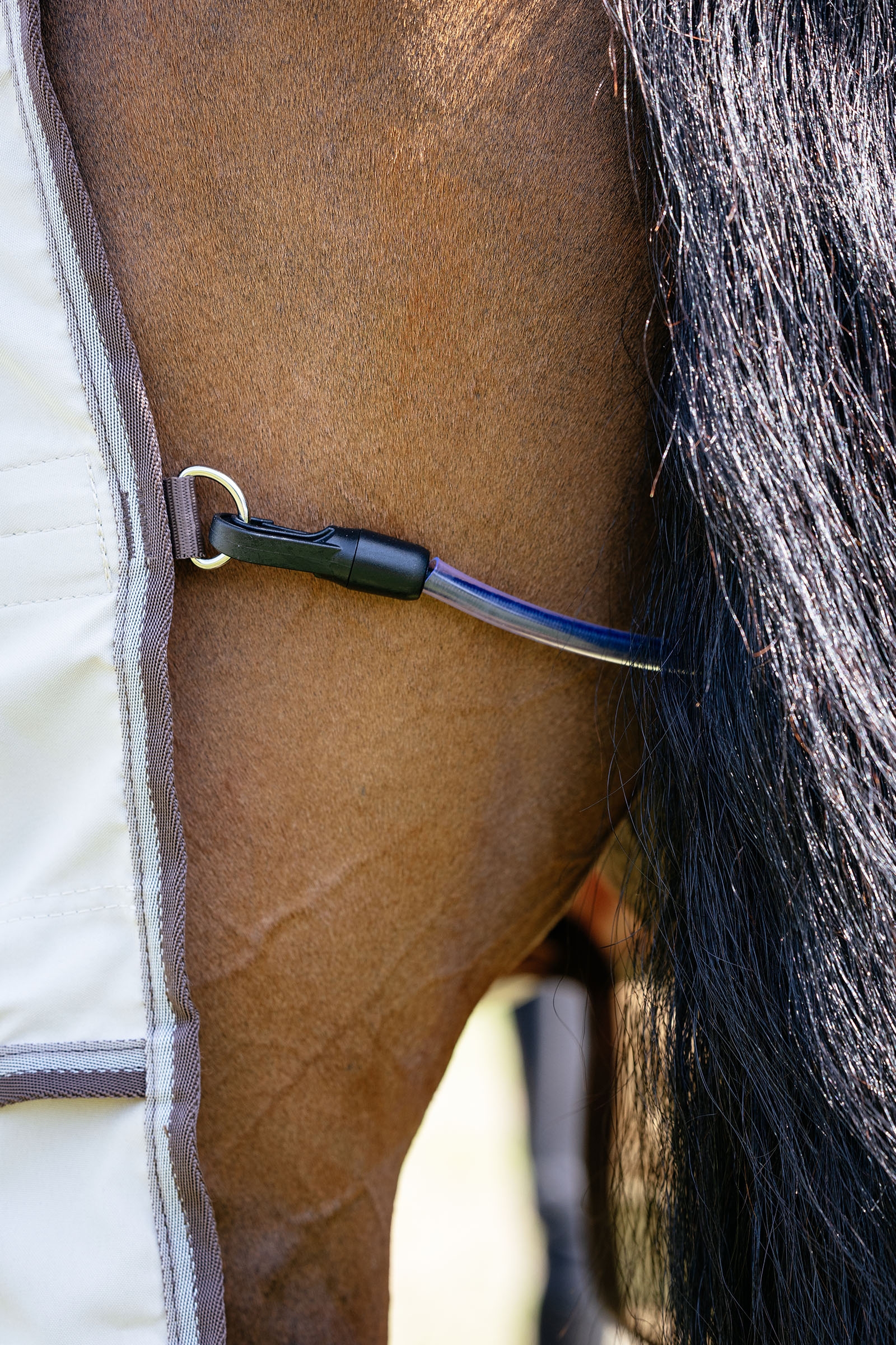 LeMieux Kudos Shower Pro coperta anti-eczema con collo removibile