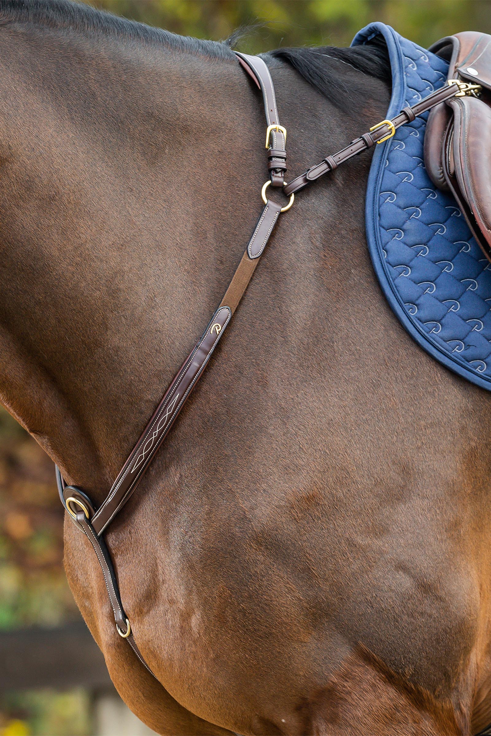 Dy'on D Collection pettorale con ponte