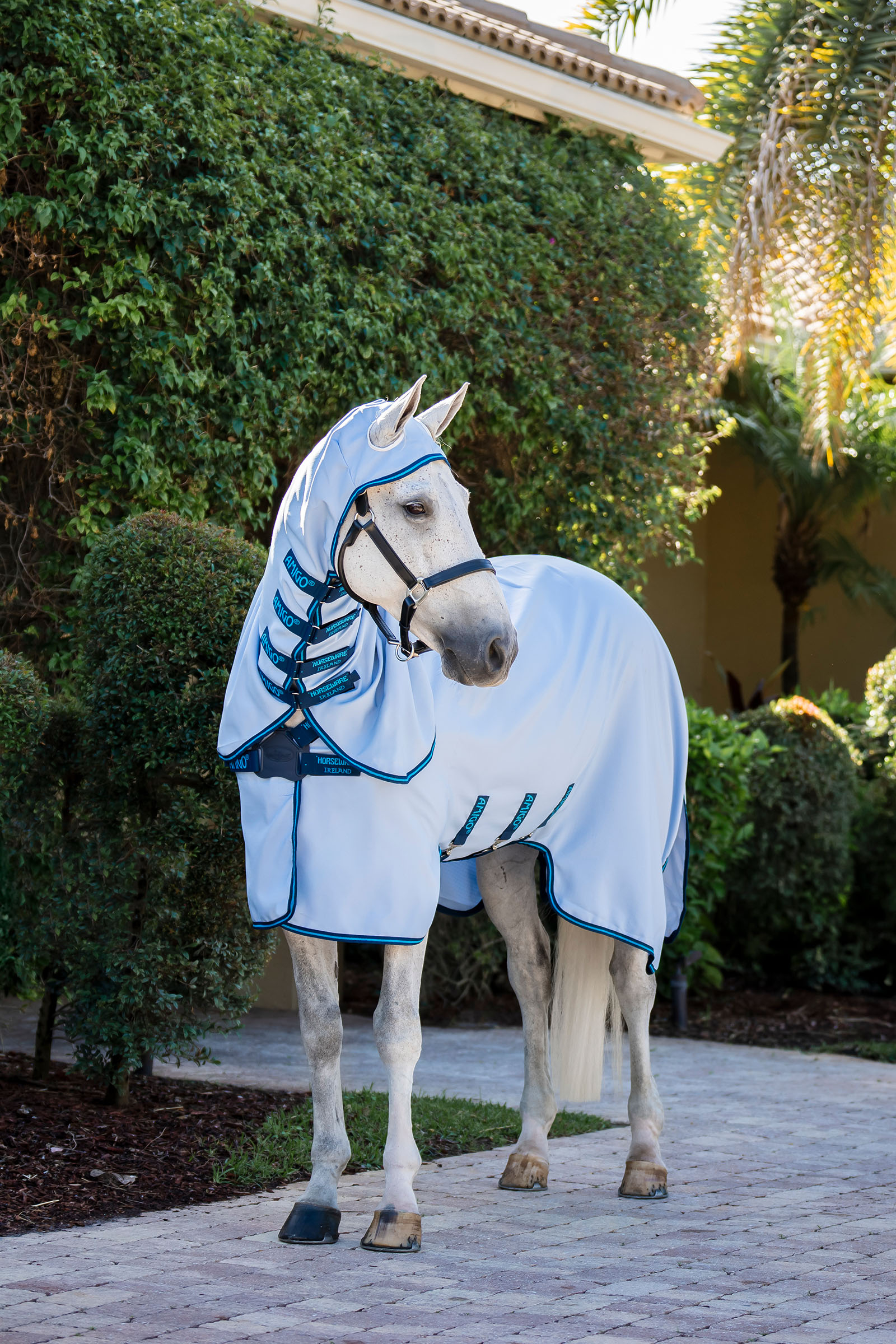 Horseware Amigo Ripstop Coperta antimosche