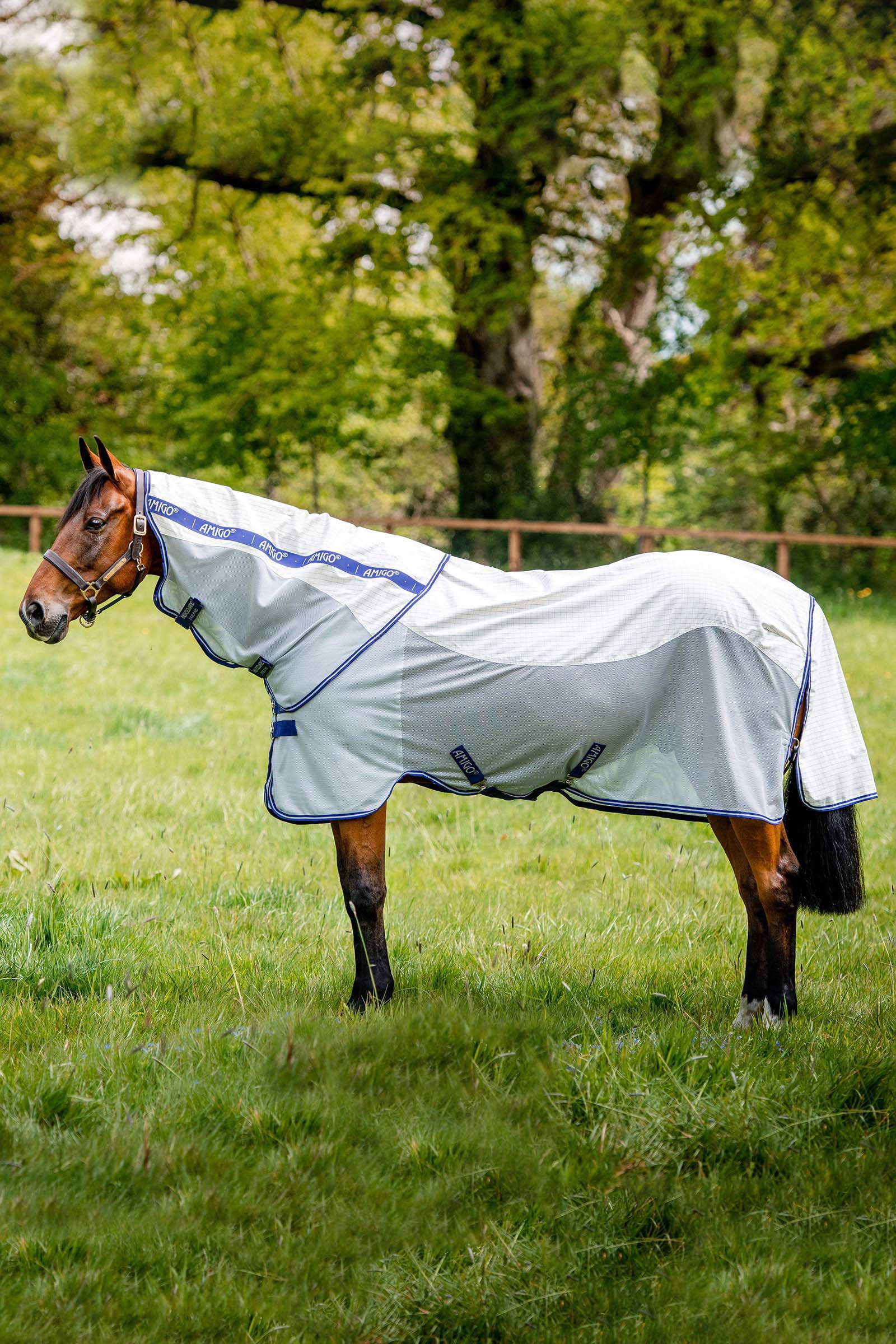 Horseware Amigo Airflow coperta anti-mosche con parte collo staccabile