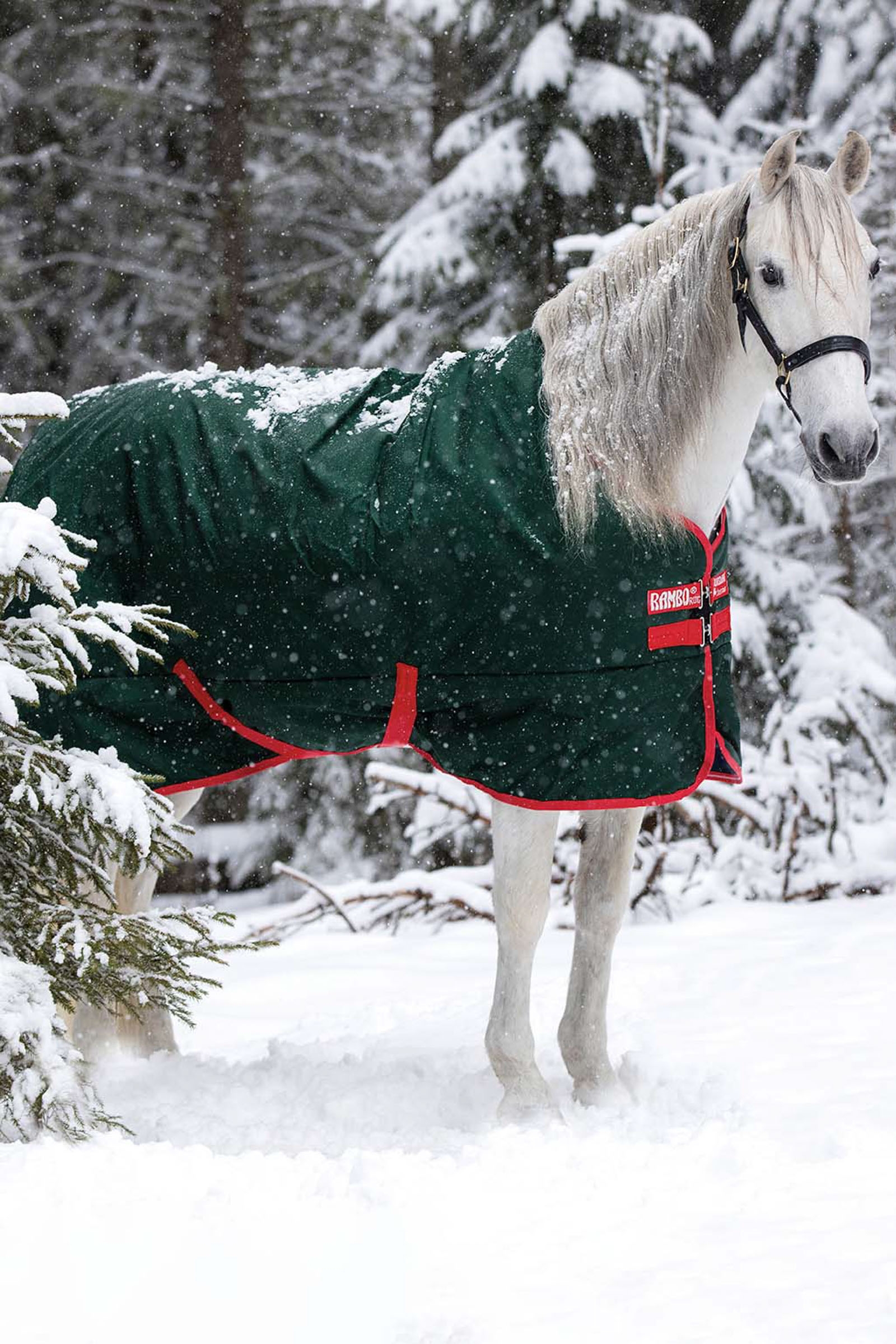 Horseware Rambo Original Turnout, 400g