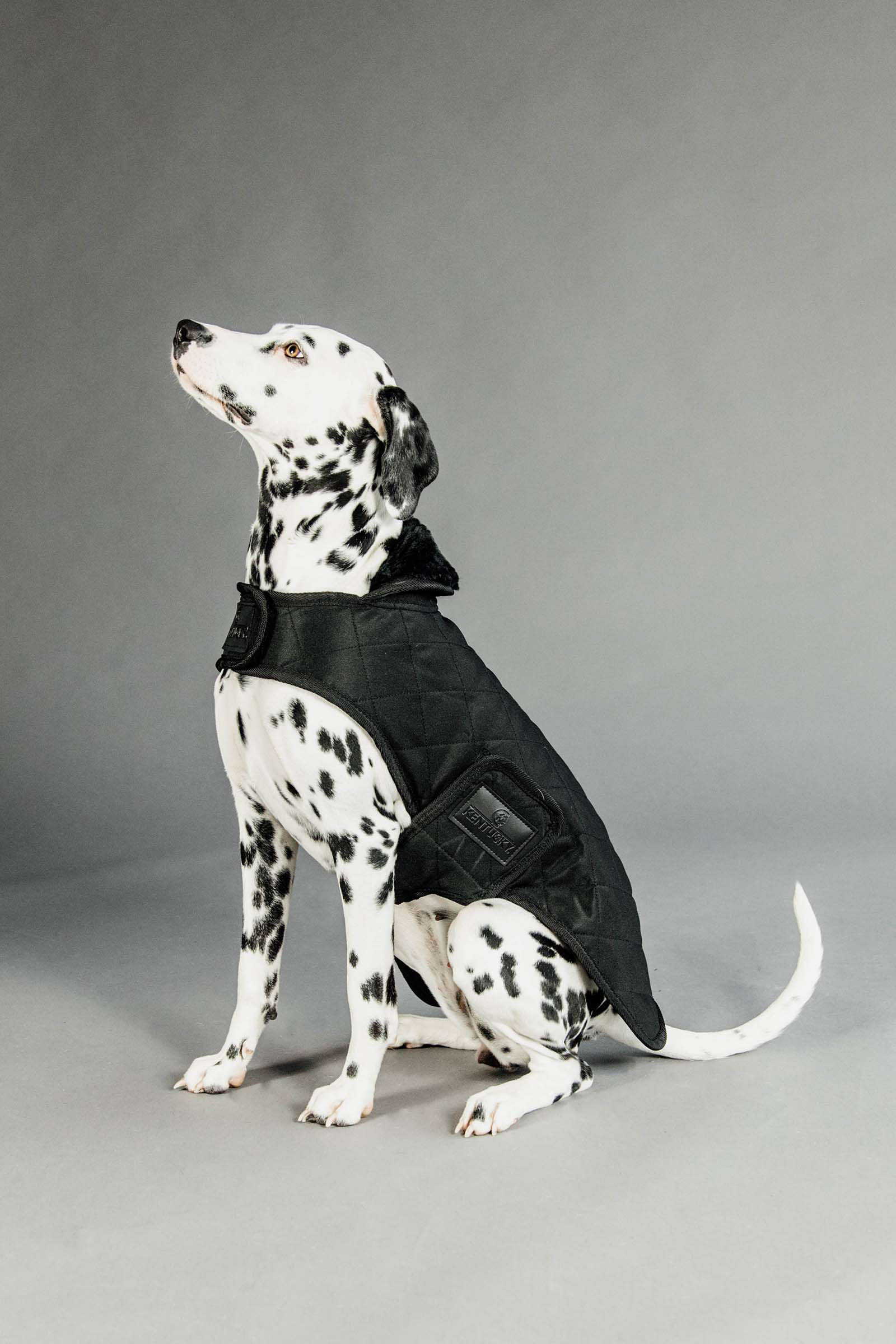 Cappotto per cani Kentucky Dogwear impermeabile