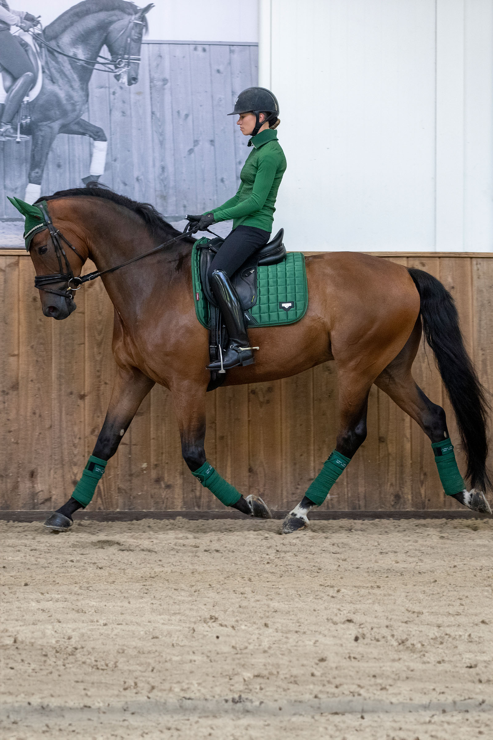 LeMieux Loire Classic sottosella dressage