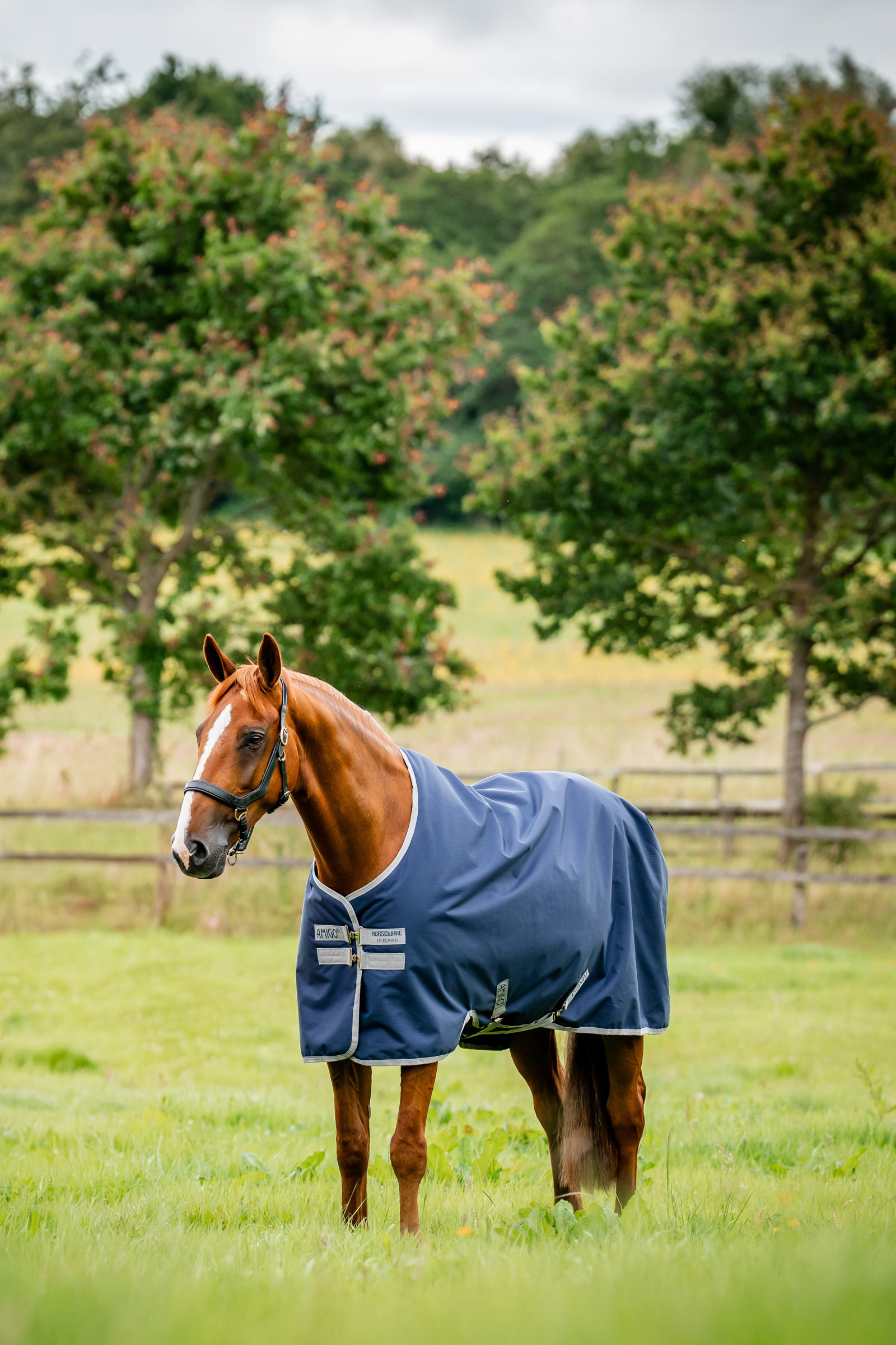 Witney Navy Horseware Amigo Coperta da turnout leggera Ripstop 900D, 0g
