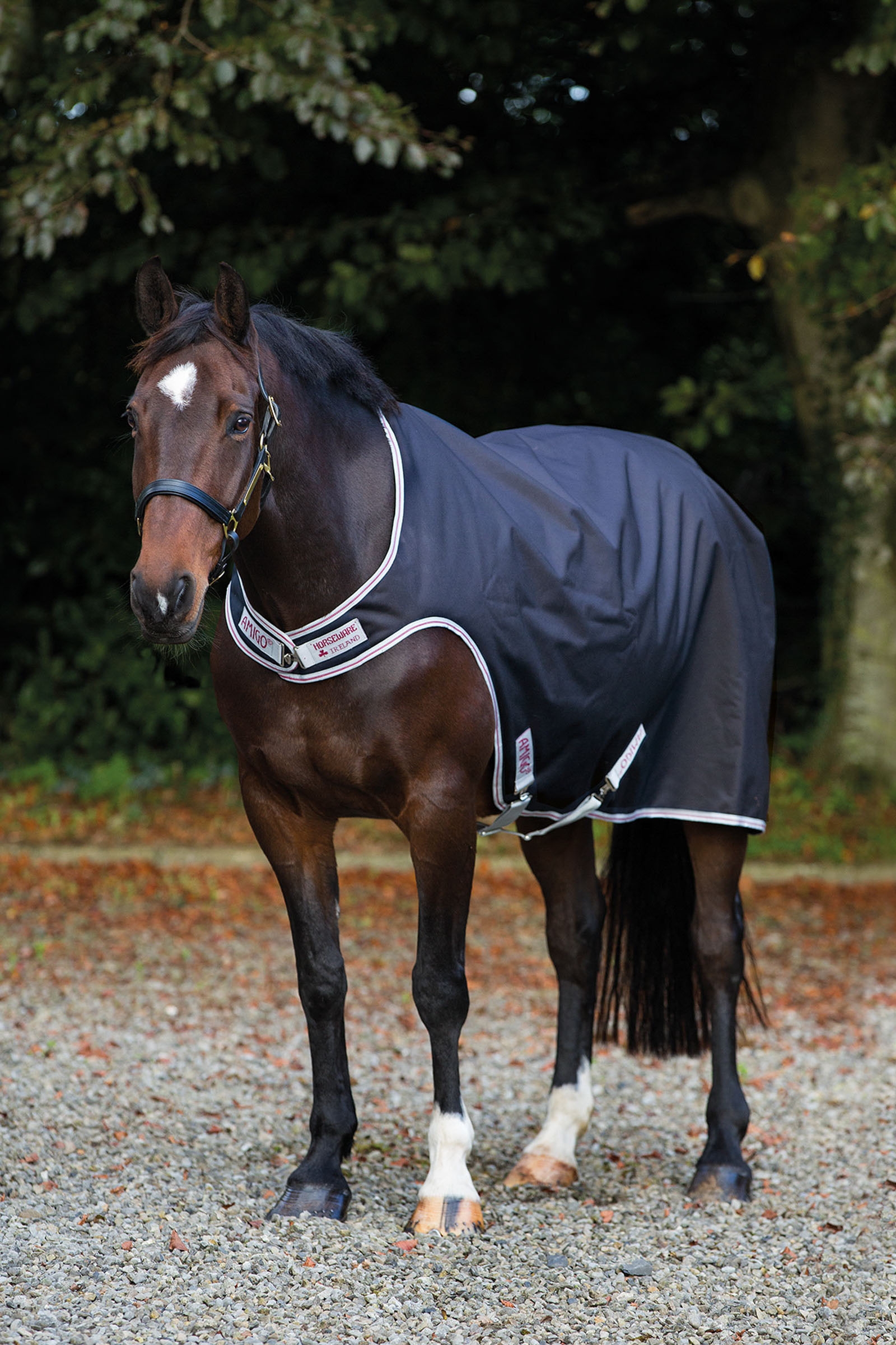 Horseware Amigo coperta da walker, 100g