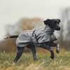 Back on Track Nella All-Round Dog Coat, 25-35cm