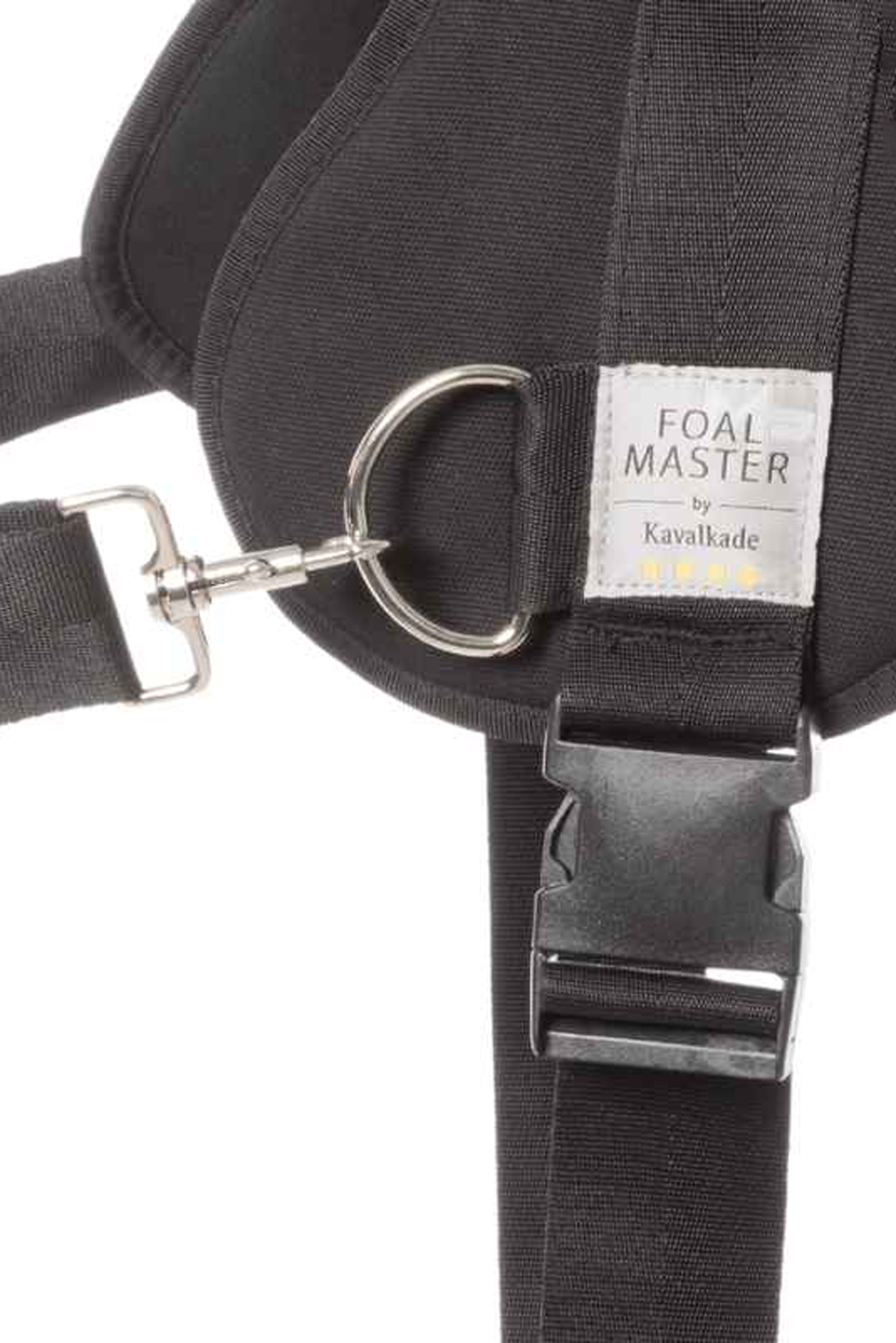 Kavalkade Foalmaster imbracatura per puledro con manico