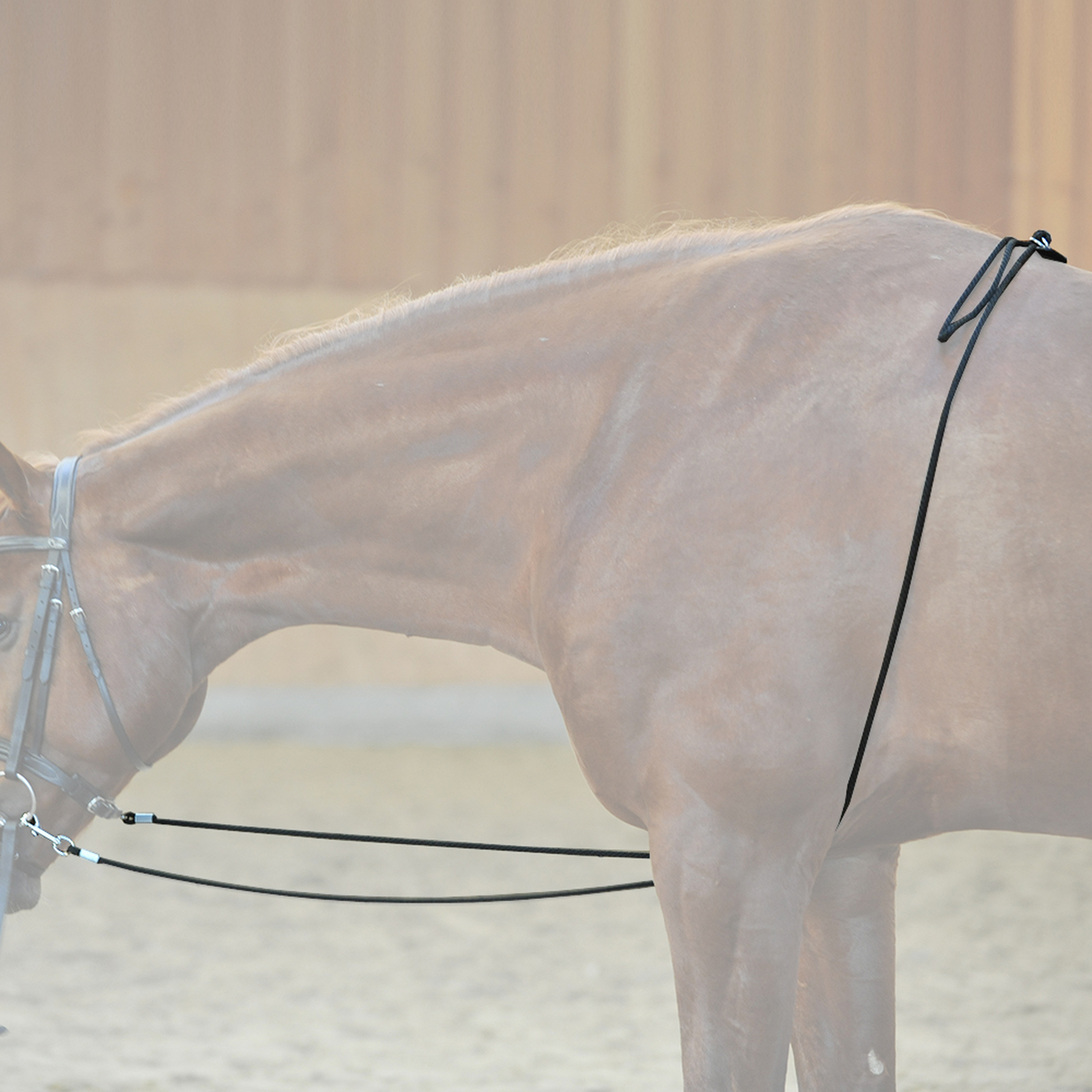 Ausilio per l'affondo Kavalkade HO