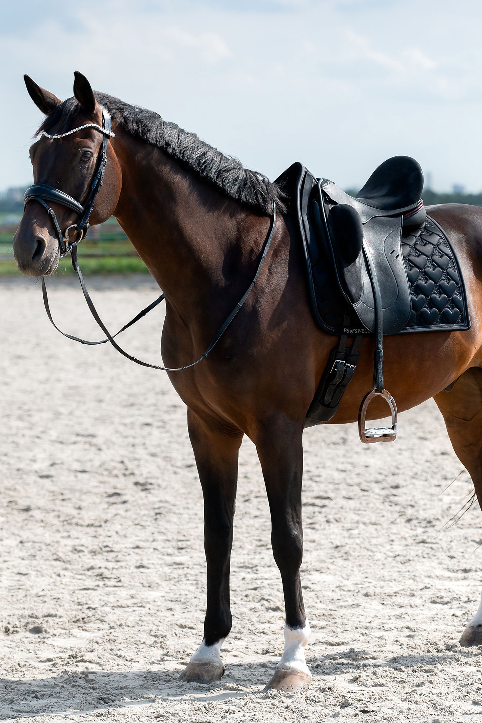 Tappeto da dressage a cuore PS of Sweden