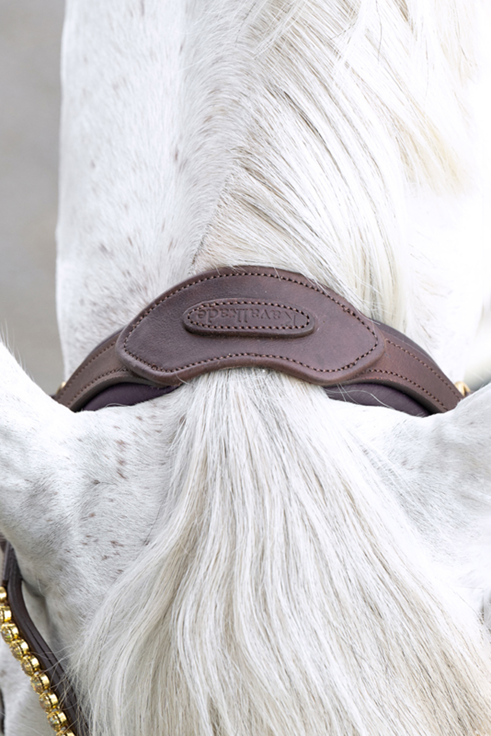 Kavalkade Caliano Briglia Inglese