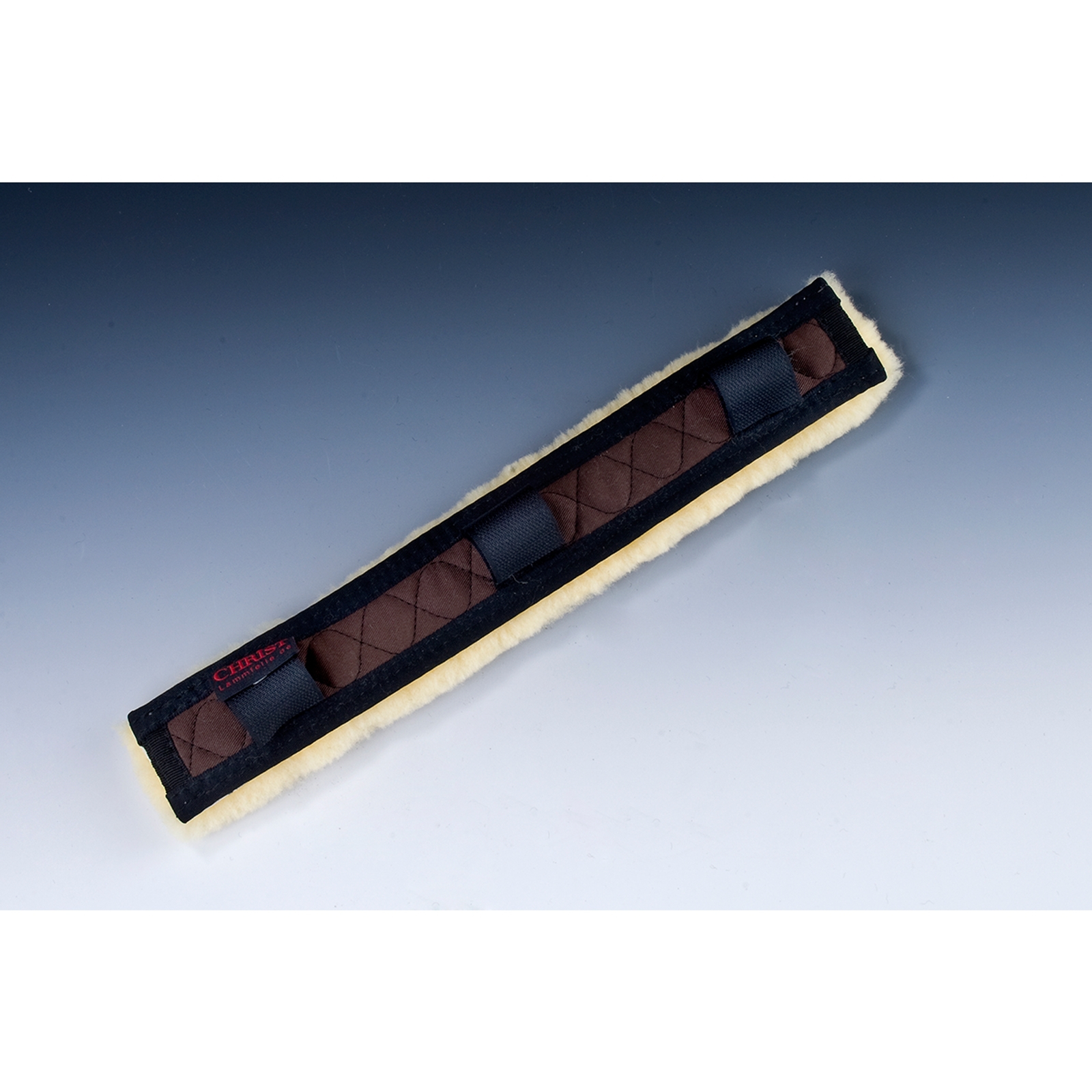 BR/OWH/DBR Sopratesta Christ Turnier