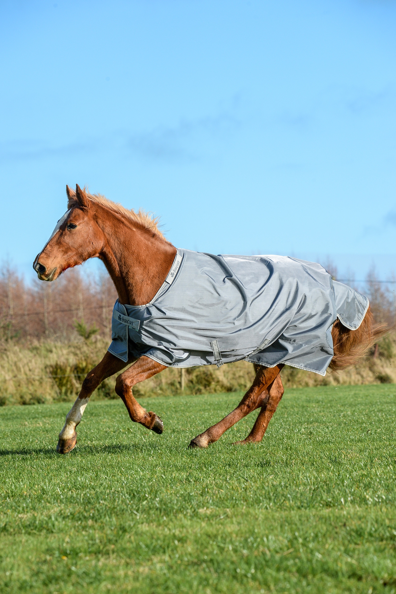 Iron Grey Bucas Smartex Coperta Extra da 300g