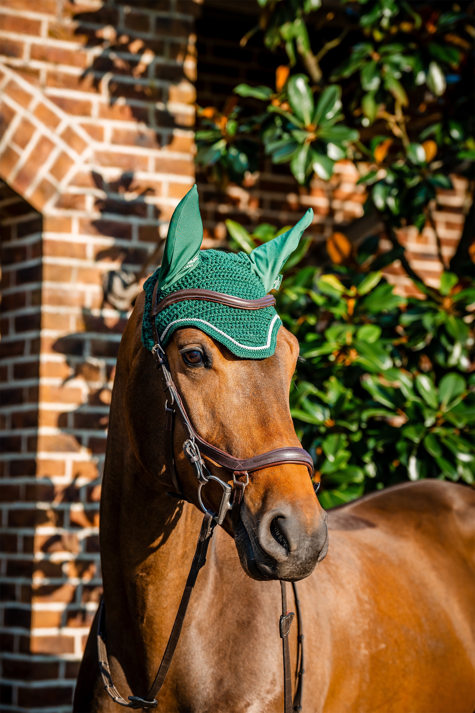 Hunter Green Horseware Signature cuffia anti-mosche