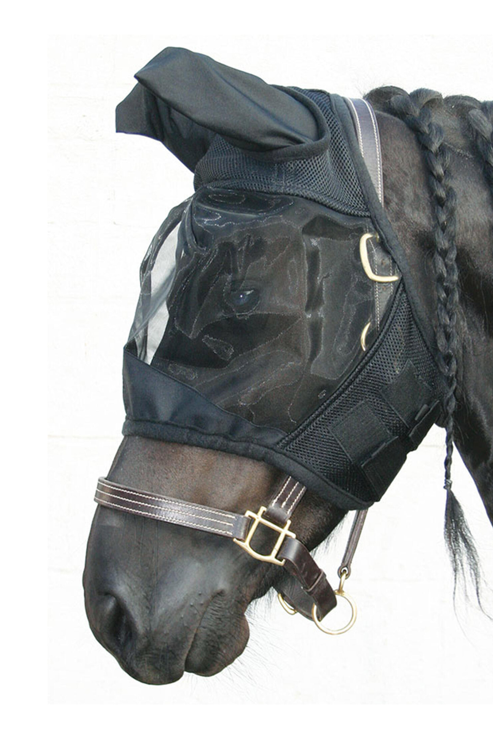 Maschera antimosche del cavallo di Harry