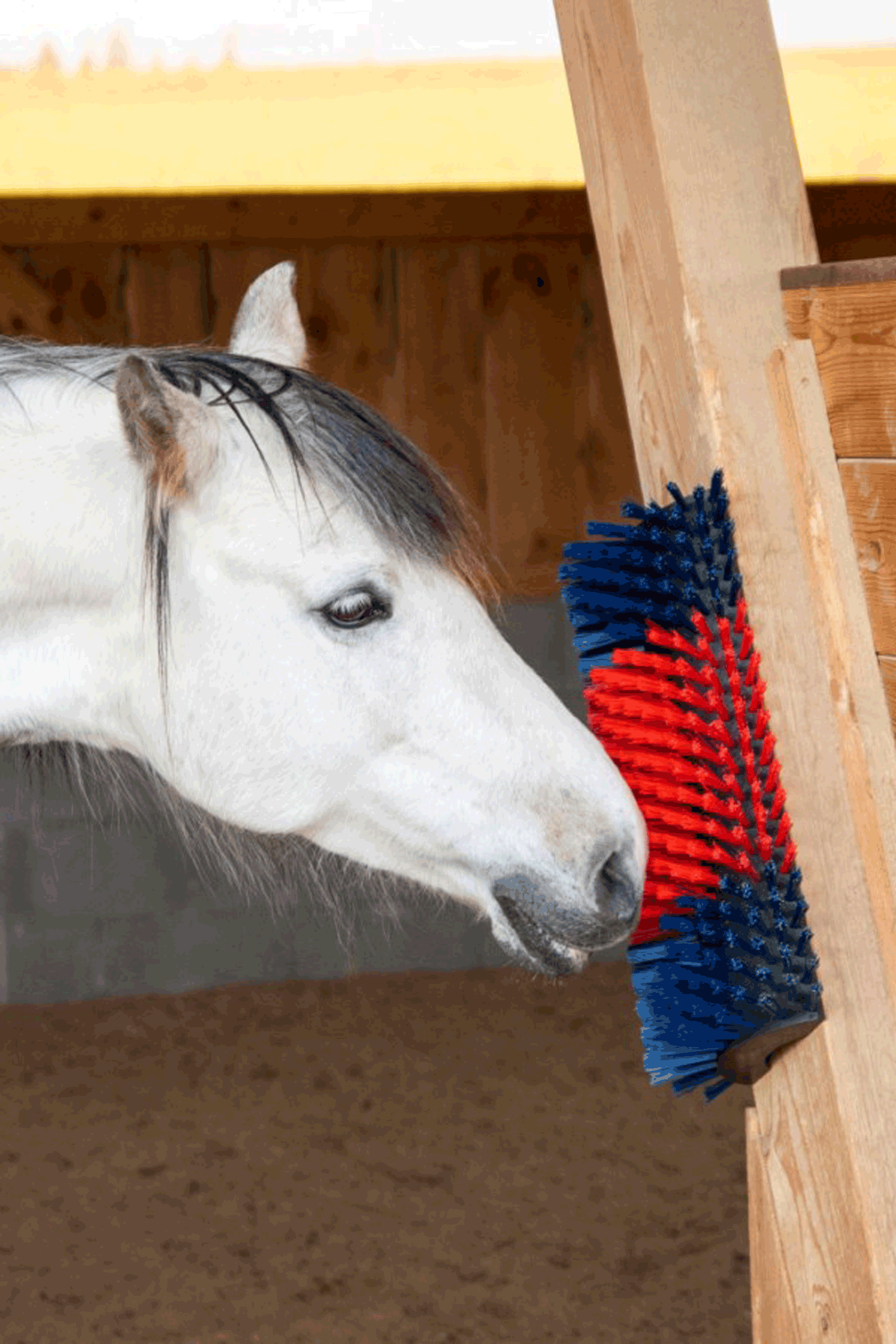 Spazzola grattante XL Kerbl, rotonda