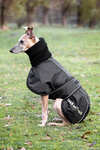 Back on Track Whippet, Coperta per cani XS-M