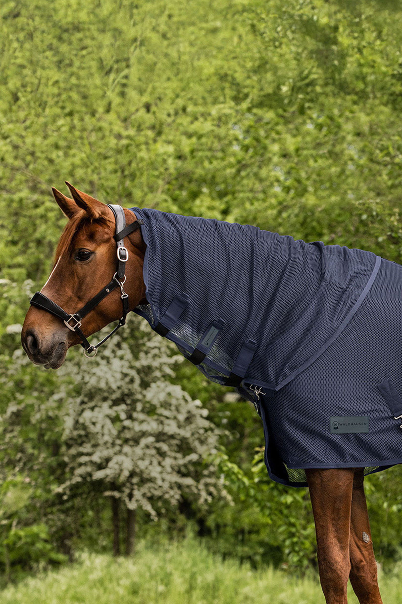 Night Blue Waldhausen Comfort copricollo antimosche