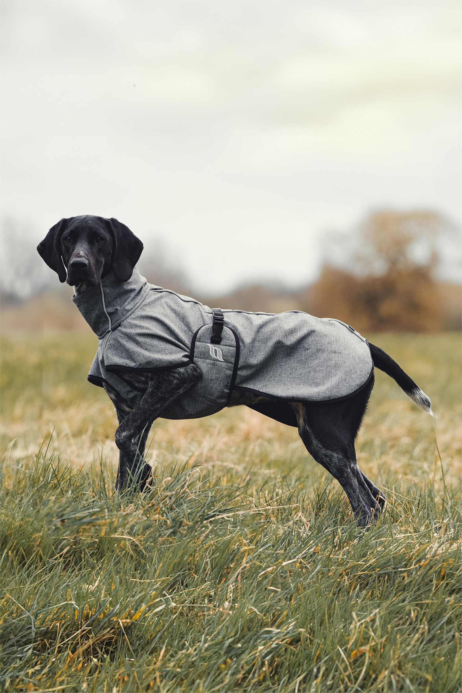 Back on Track Bark Cappottino per cani, 55-65 cm