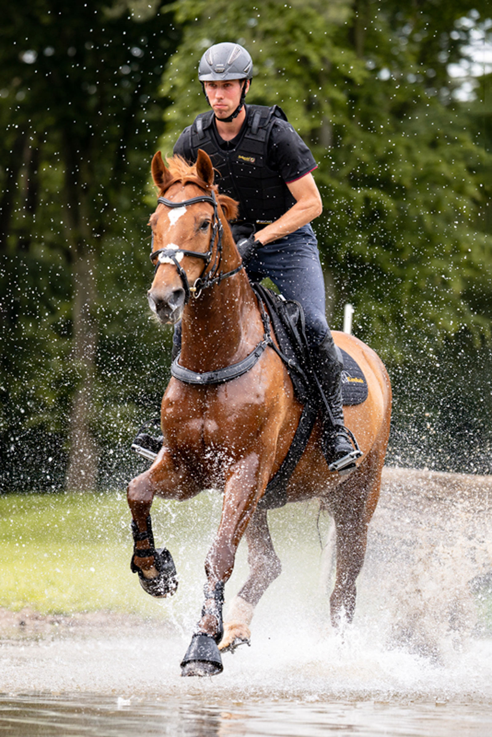Kavalkade Jerome Pettorina a 2 Punti